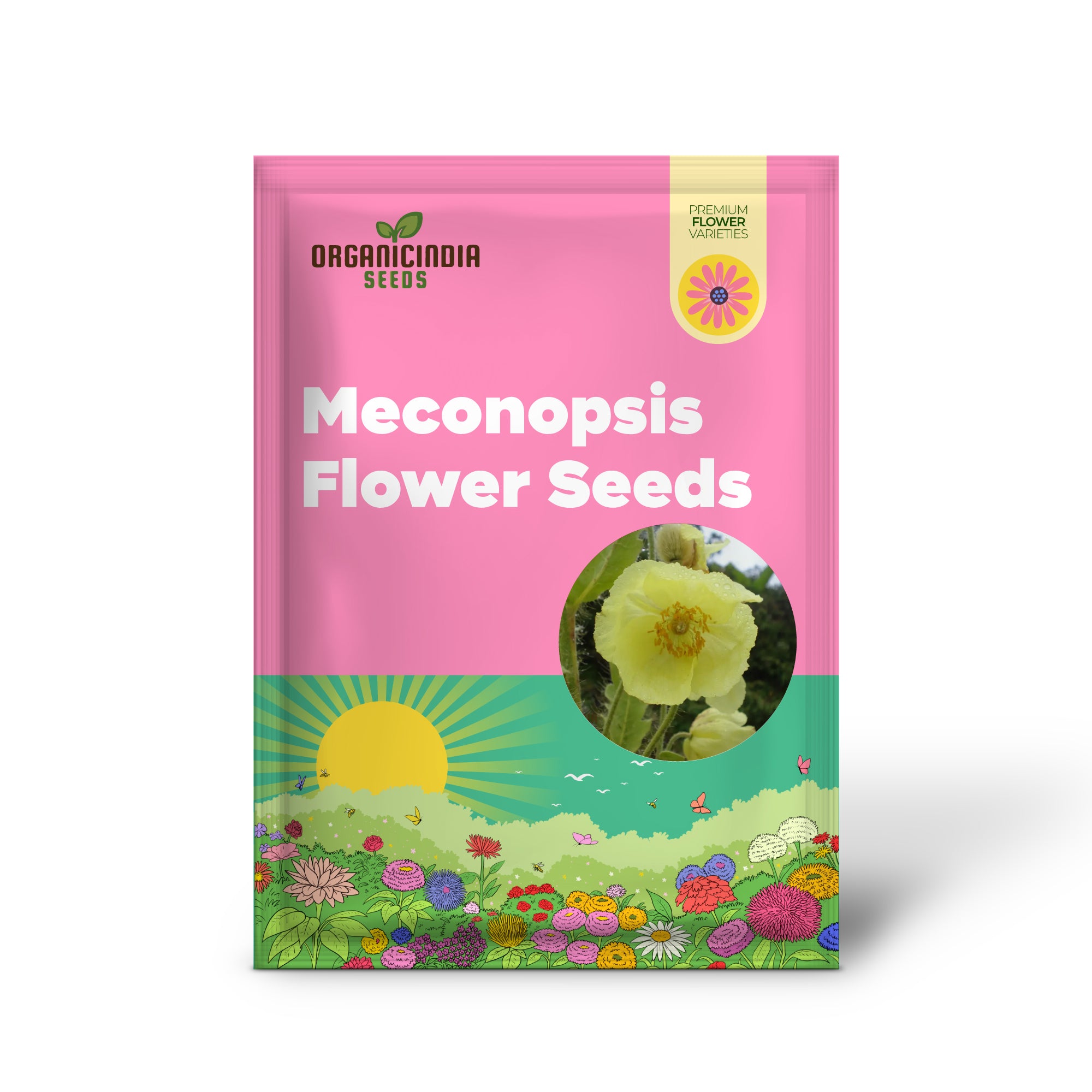 Meconopsis Paniculata Flower Seeds for Planting, Rare and Beautiful Himalayan Blue Poppy Seeds for Gardening