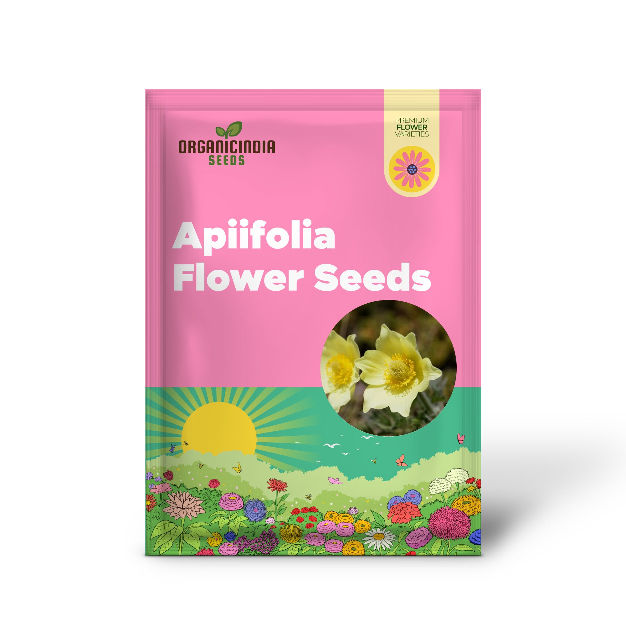 Semi di Fiore di Pulsatilla Alpina Apiifolia per Piantare, Bellezza Alpina con Fiori Delicati per il Tuo Giardino