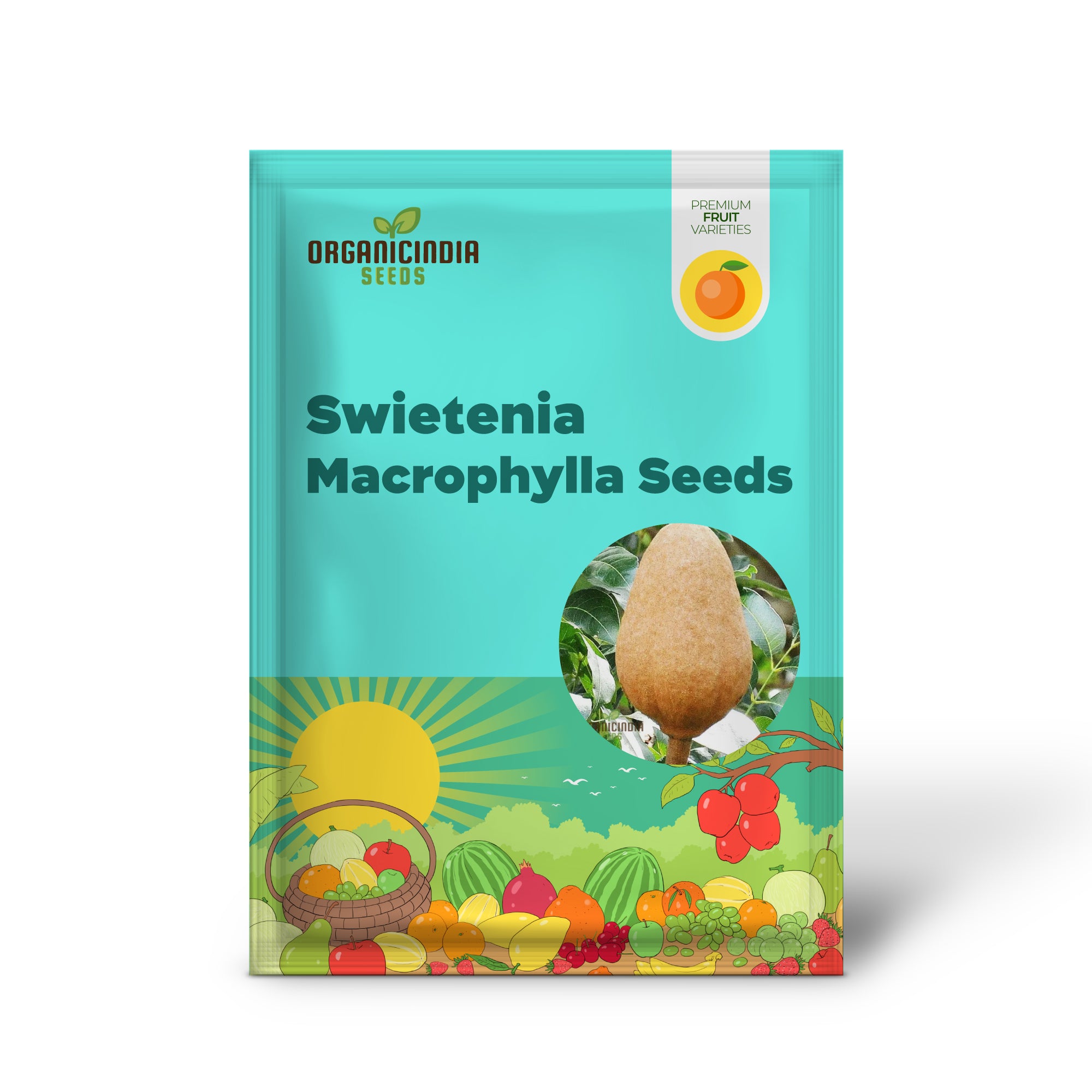 Semillas de Swietenia Macrophylla para Plantar Eleva Tu Jardinería con la Grandeza de Árboles Tropicales y Belleza Atemporal