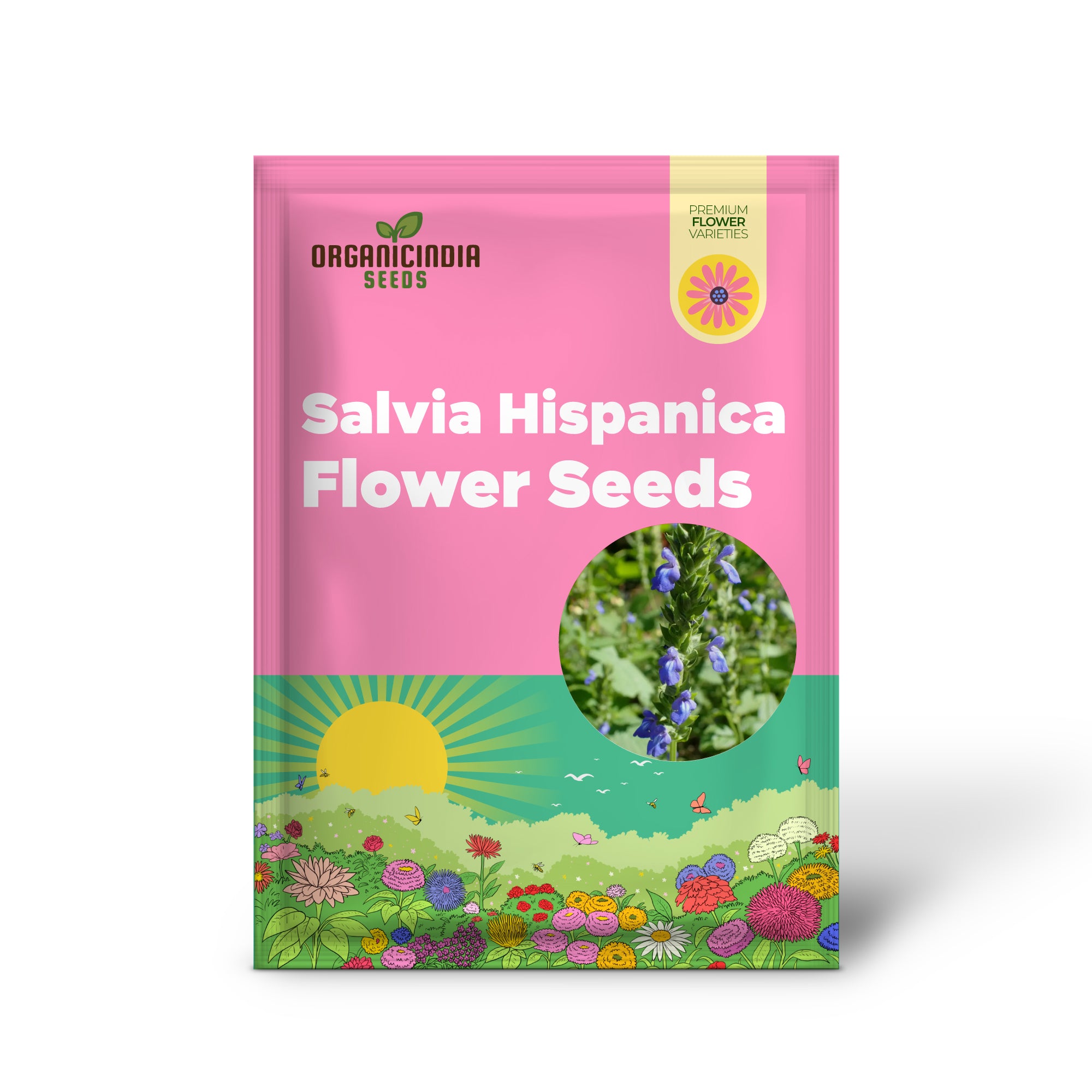 Semillas de flor de Salvia Hispánica orgánica (Chía) para plantar, semillas de calidad premium para plantar y jardines saludables