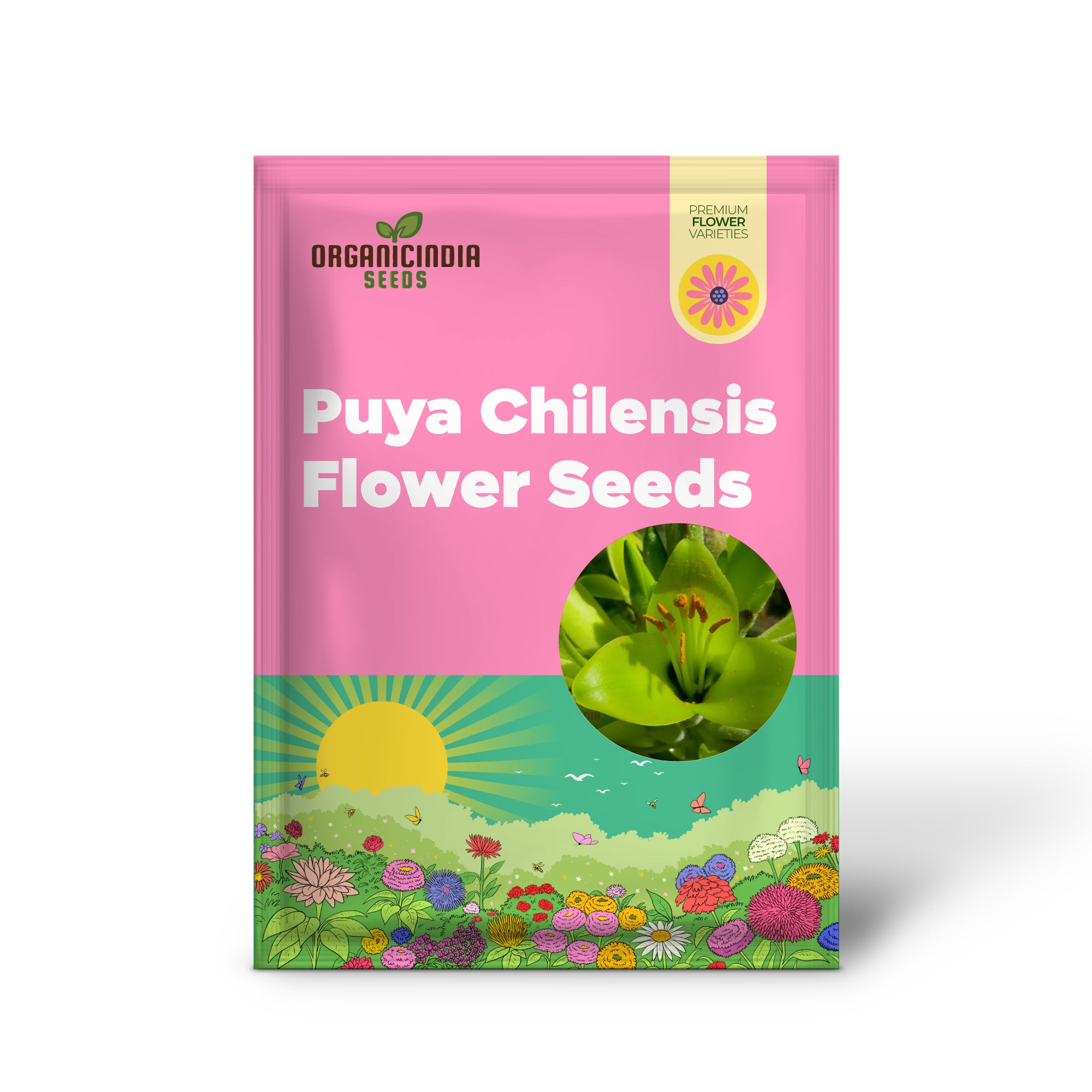 Puya Chilensis Flower Seeds For Planting, Growing Bold and Exquisite Blooms for Your Garden