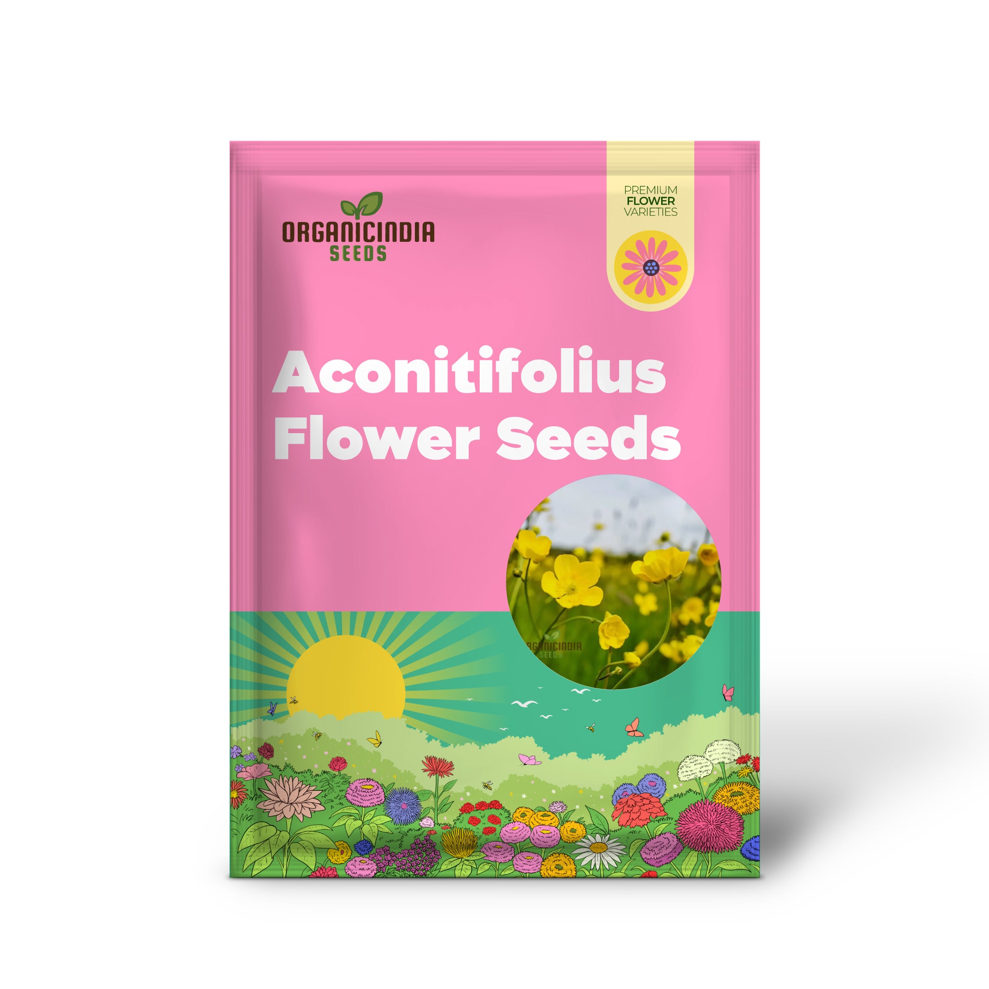 Ranunculus Aconitifolius Flower Seeds For Planting ,Elegant and Hardy Blooms for Your Garden