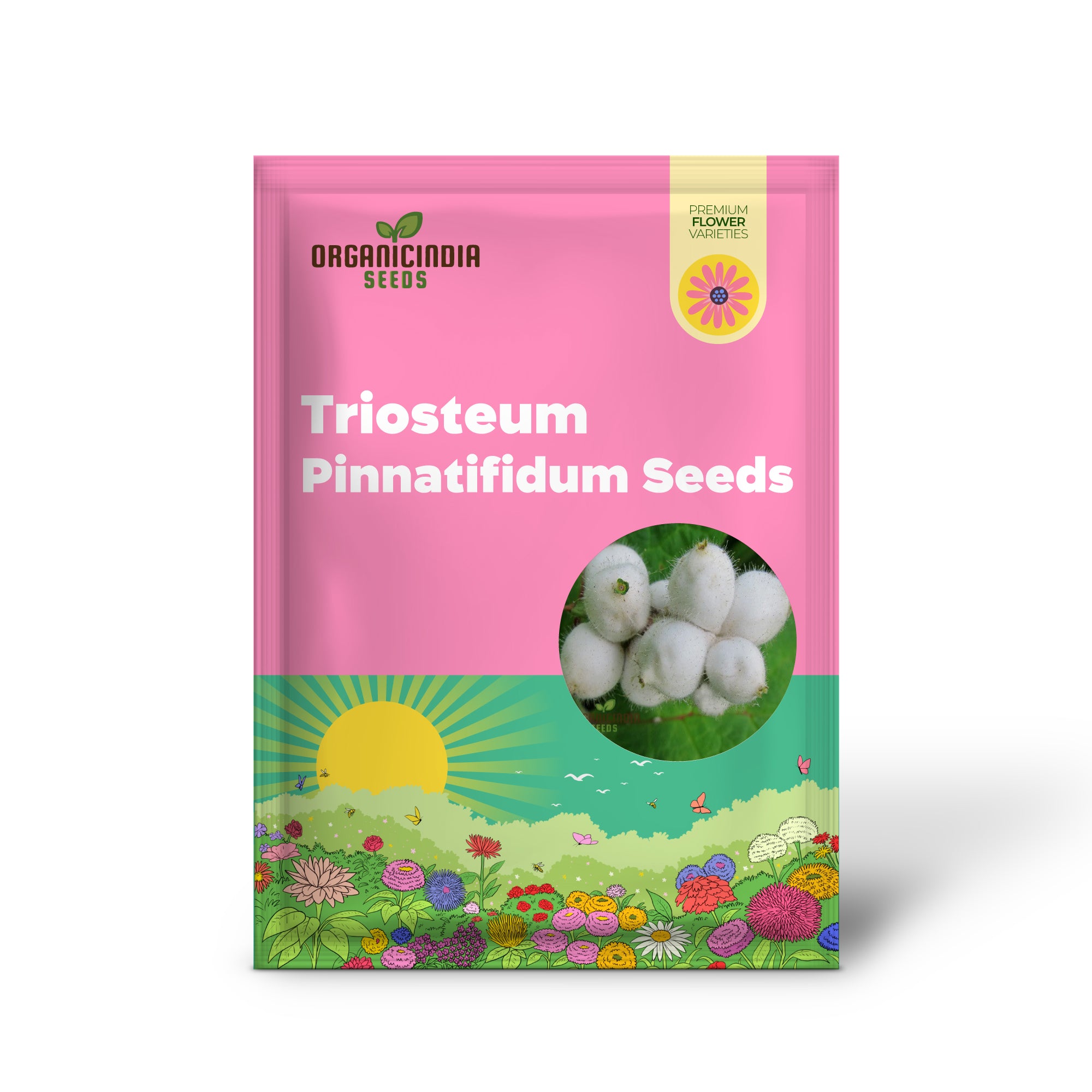 Semillas de Triosteum Pinnatifidum para Entusiastas Exquisitos de la Jardinería | Semillas Únicas de Flores Perennes