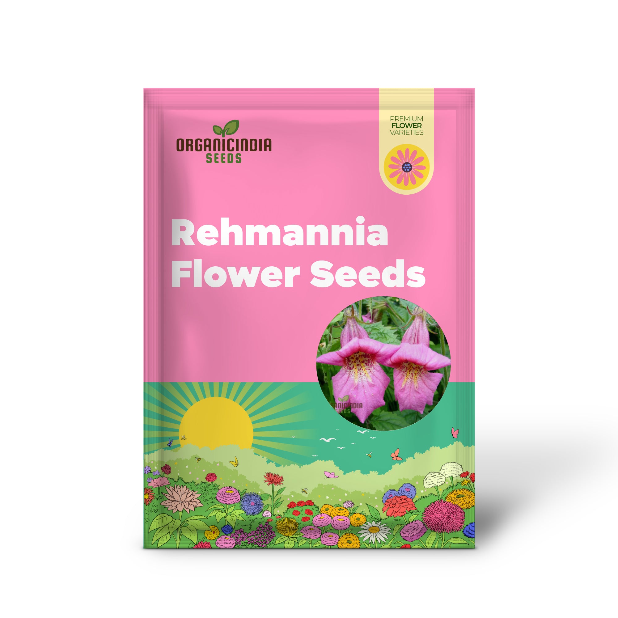 Graines de fleurs de Rehmannia Elata à planter, cultiver des fleurs élégantes et résistantes pour votre jardin