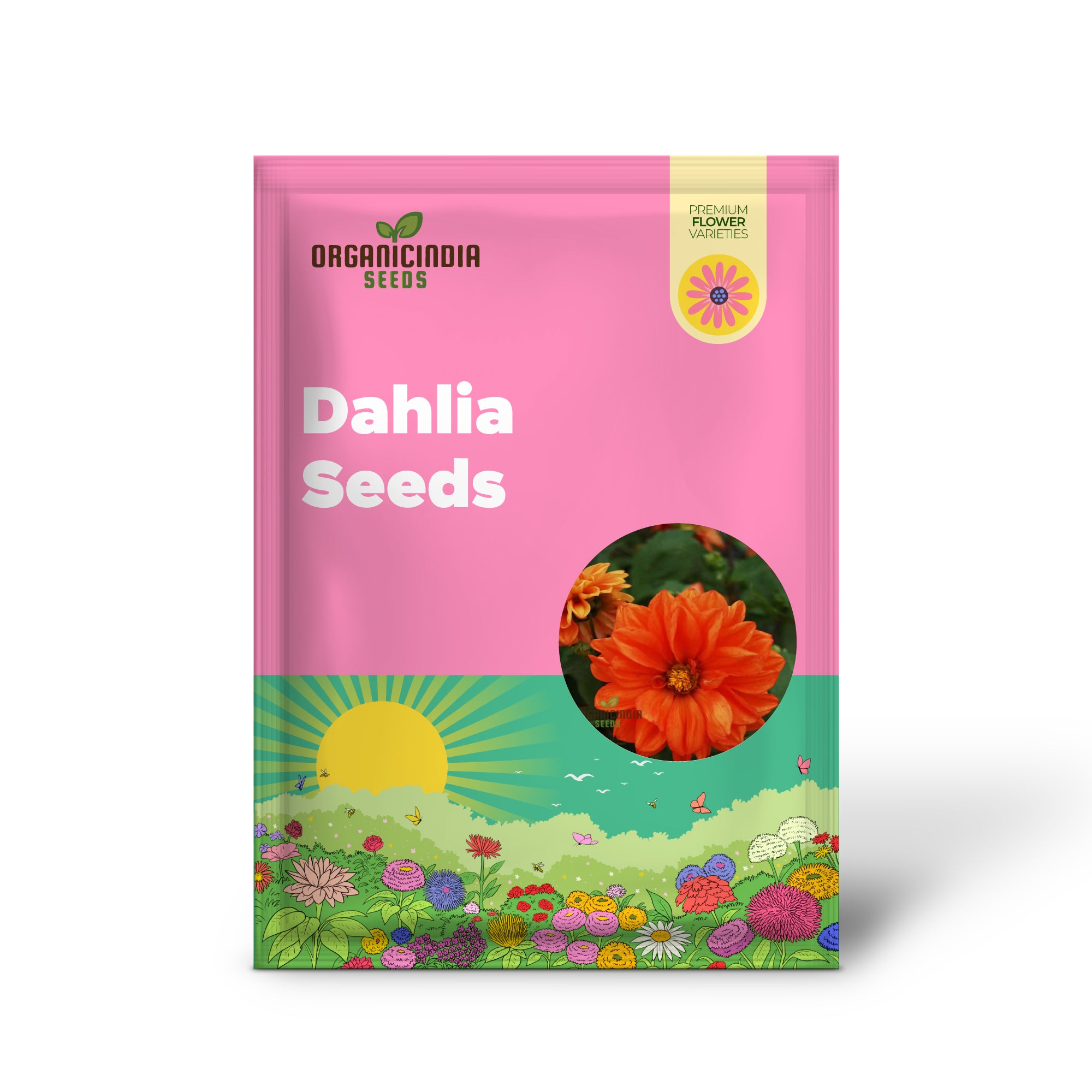 Dahlia - Delight in Orange Shades Seeds for Vibrant Blooms and Beautiful Garden Landscaping!