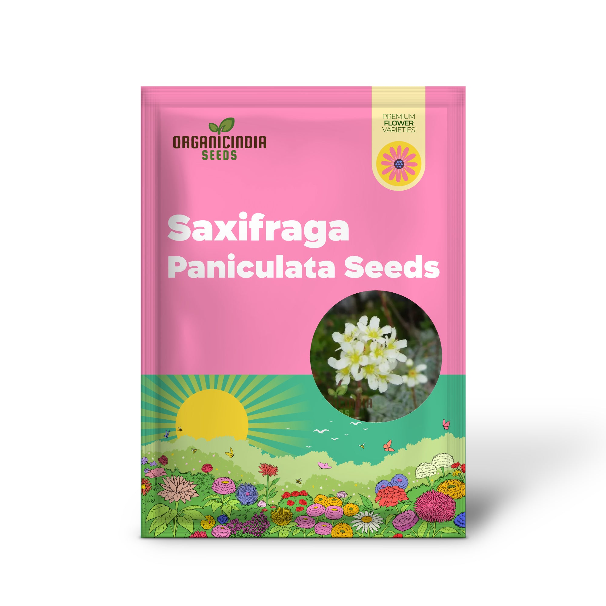 Semillas de Saxifraga Paniculata | Semillas de Jardinería de Calidad Premium para Jardines de Rocas Exuberantes