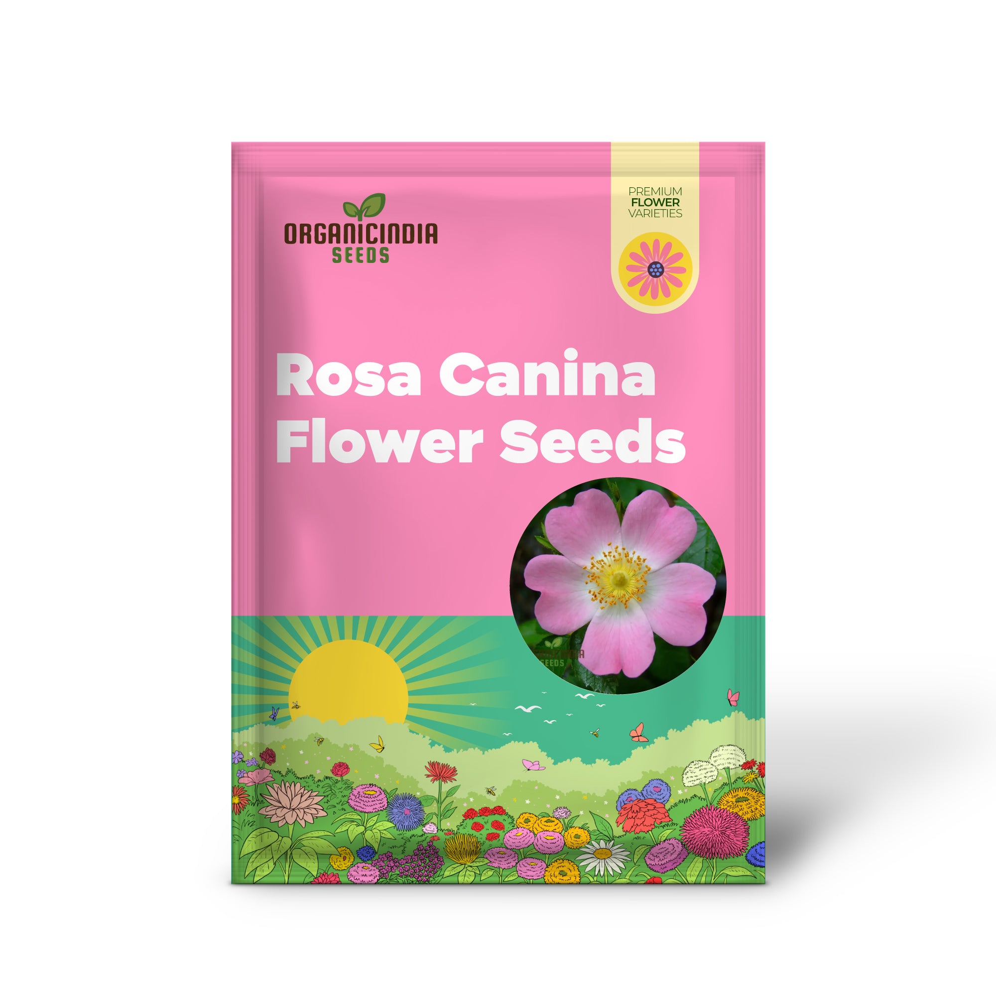 Semillas de Flor de Rosa Canina para Plantar, Semillas Resistentes de Rosa Silvestre para Flores Hermosas y Resilientes en Tu Jardín