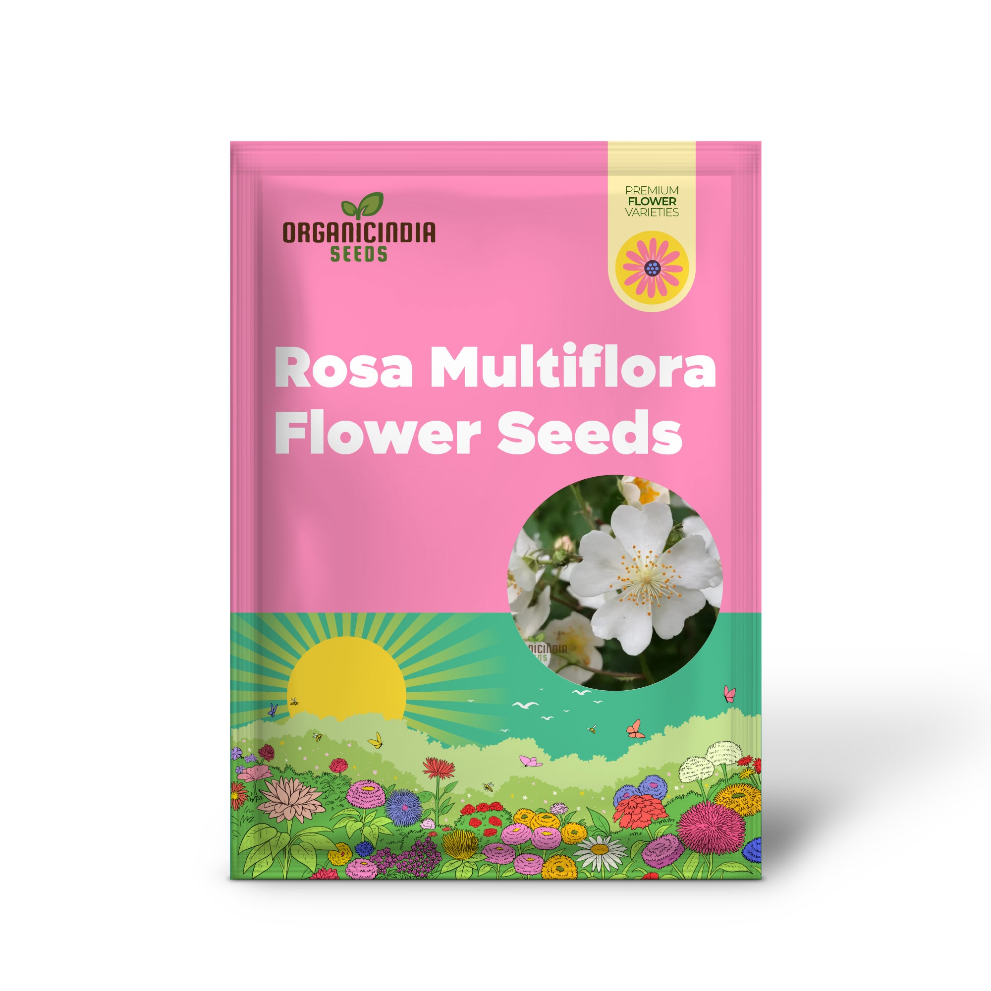 Semillas de Flor de Rosa Multiflora para Plantar, Aprende Cómo Plantar y Cultivar Hermosos Racimos de Rosas Blancas