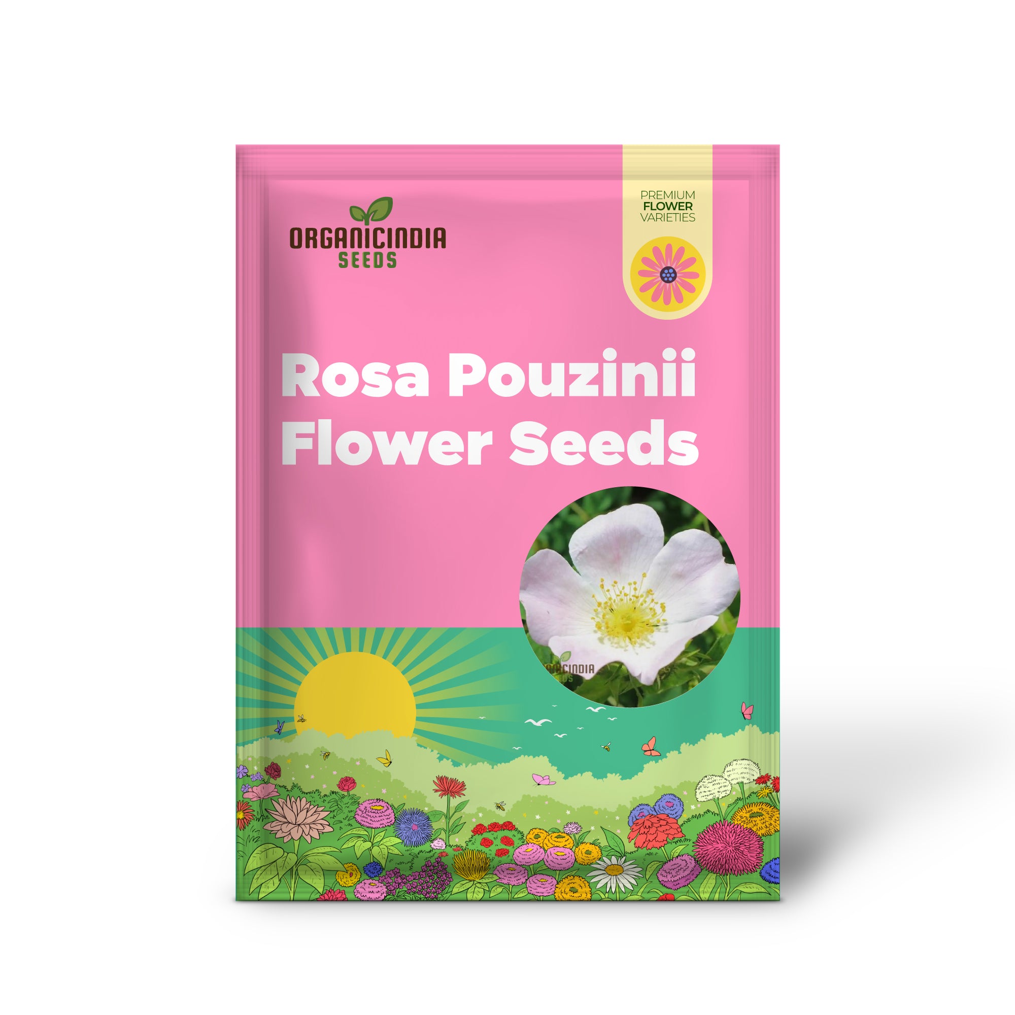 Semi di fiore Rosa Pouzinii per piantare, consigli esperti per piantare e coltivare splendidi fiori di rosa selvatica per un bellissimo paesaggio da giardino