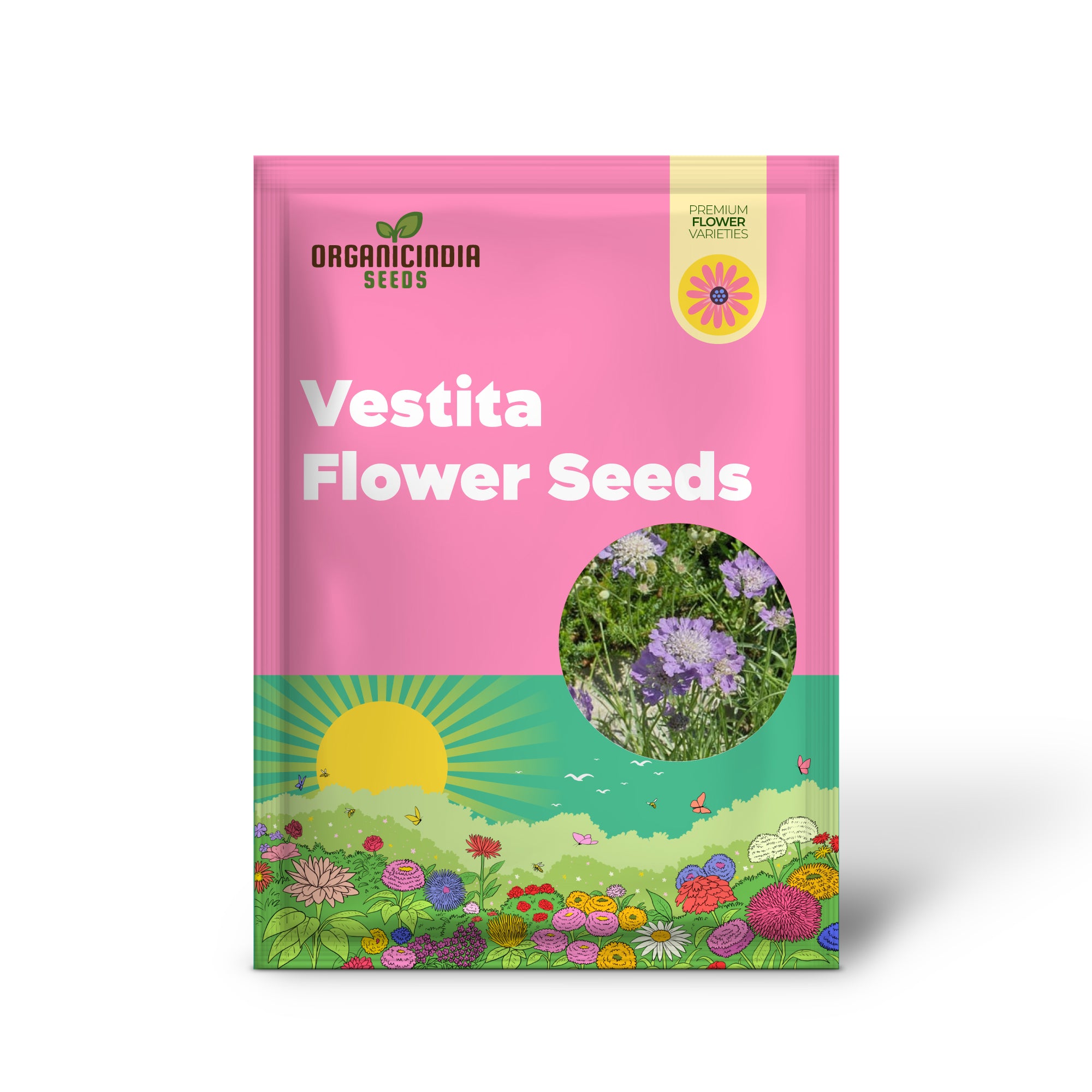 Semi di Fiore Scabiosa Vestita per Piantare - Semi di Qualità per il Giardinaggio