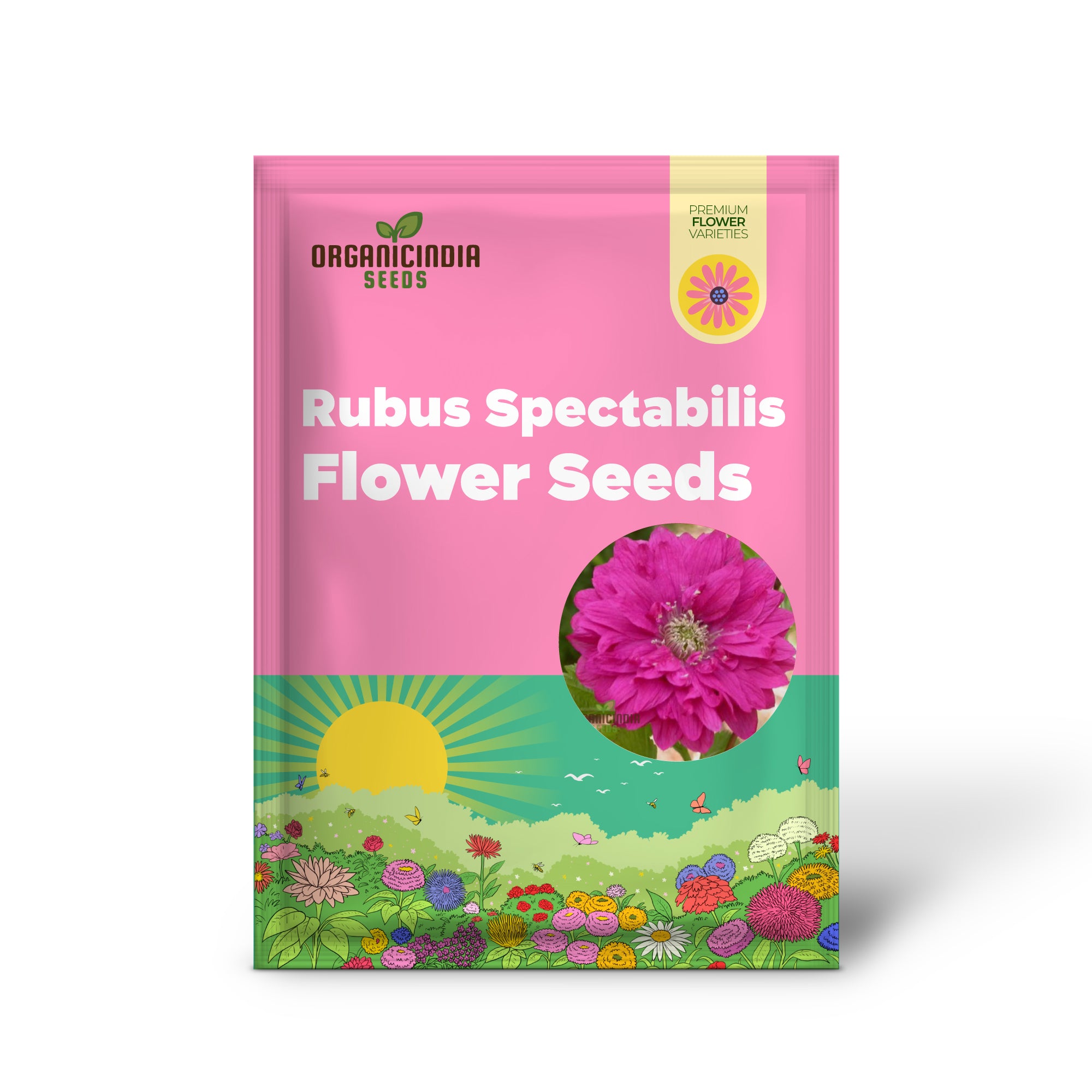 Semillas de flores Rubus Spectabilis Flore Plena para plantar, cultiva impresionantes bayas de salmón con flores dobles