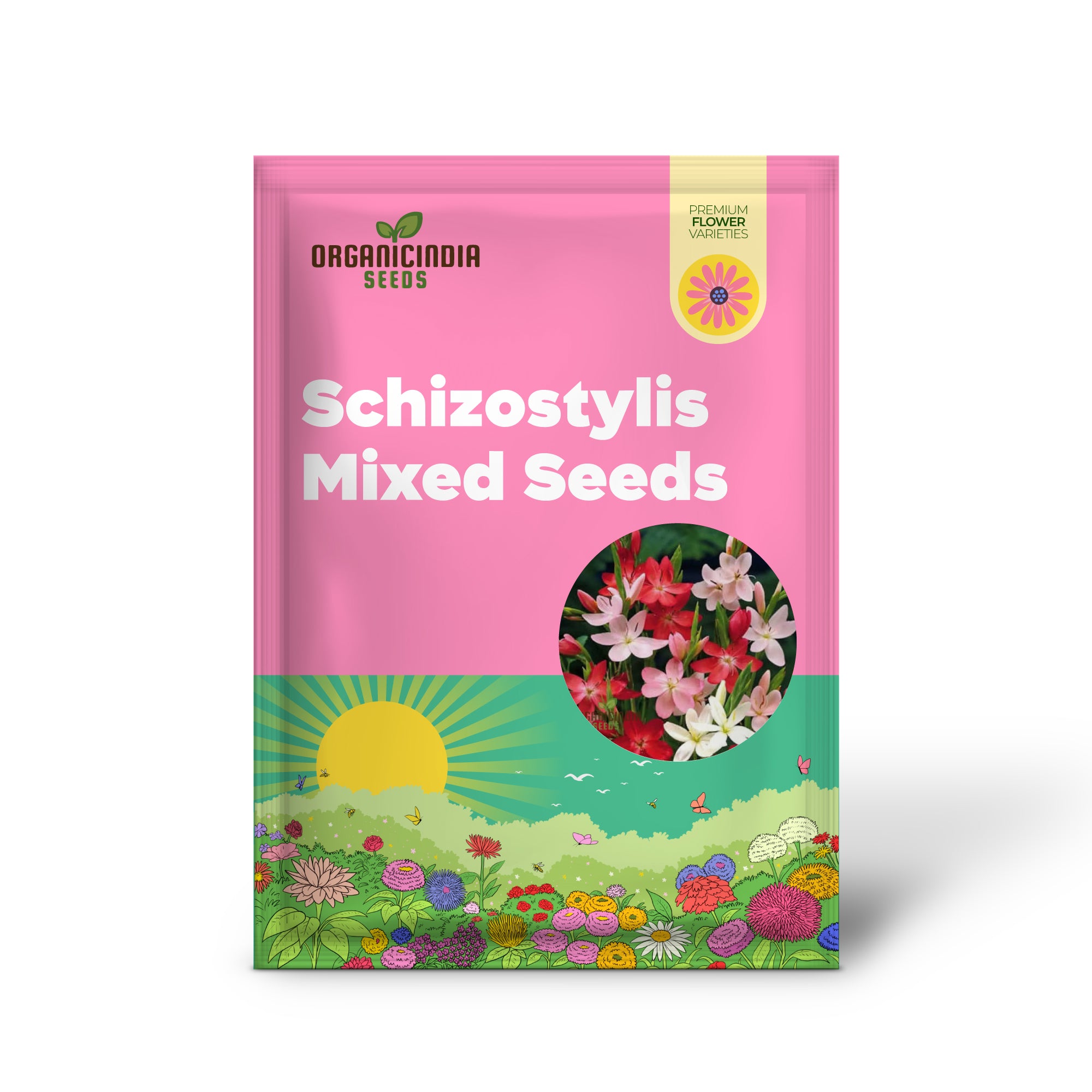 Schizostylis Mixed Colours Seeds for Gardening Enthusiasts | Premium Flower Seeds