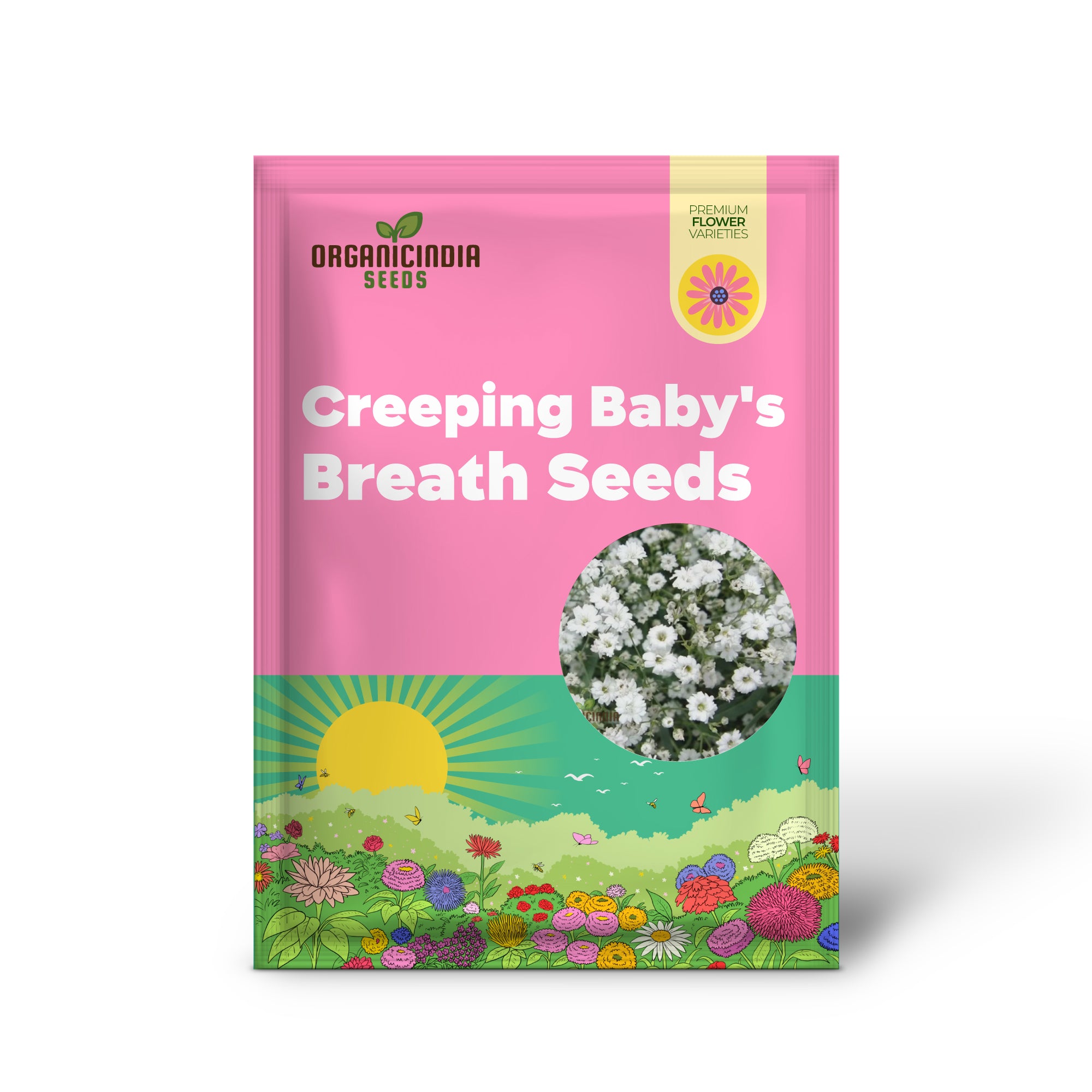 Creeping Baby's Breath Seeds - Perfect for Planting and Gardening Enthusiasts
