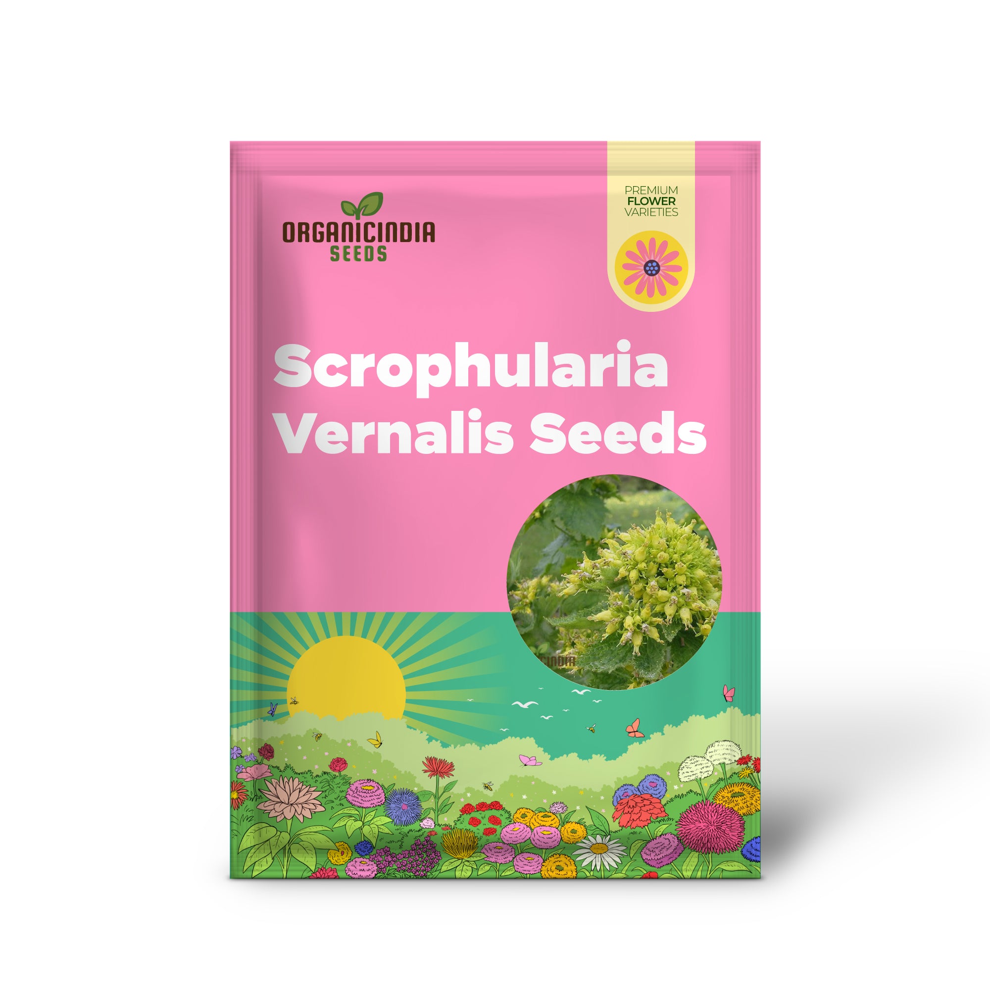 Semillas de Scrophularia Vernalis - Delicia Premium para Jardinería | Comprar Semillas Orgánicas en Línea