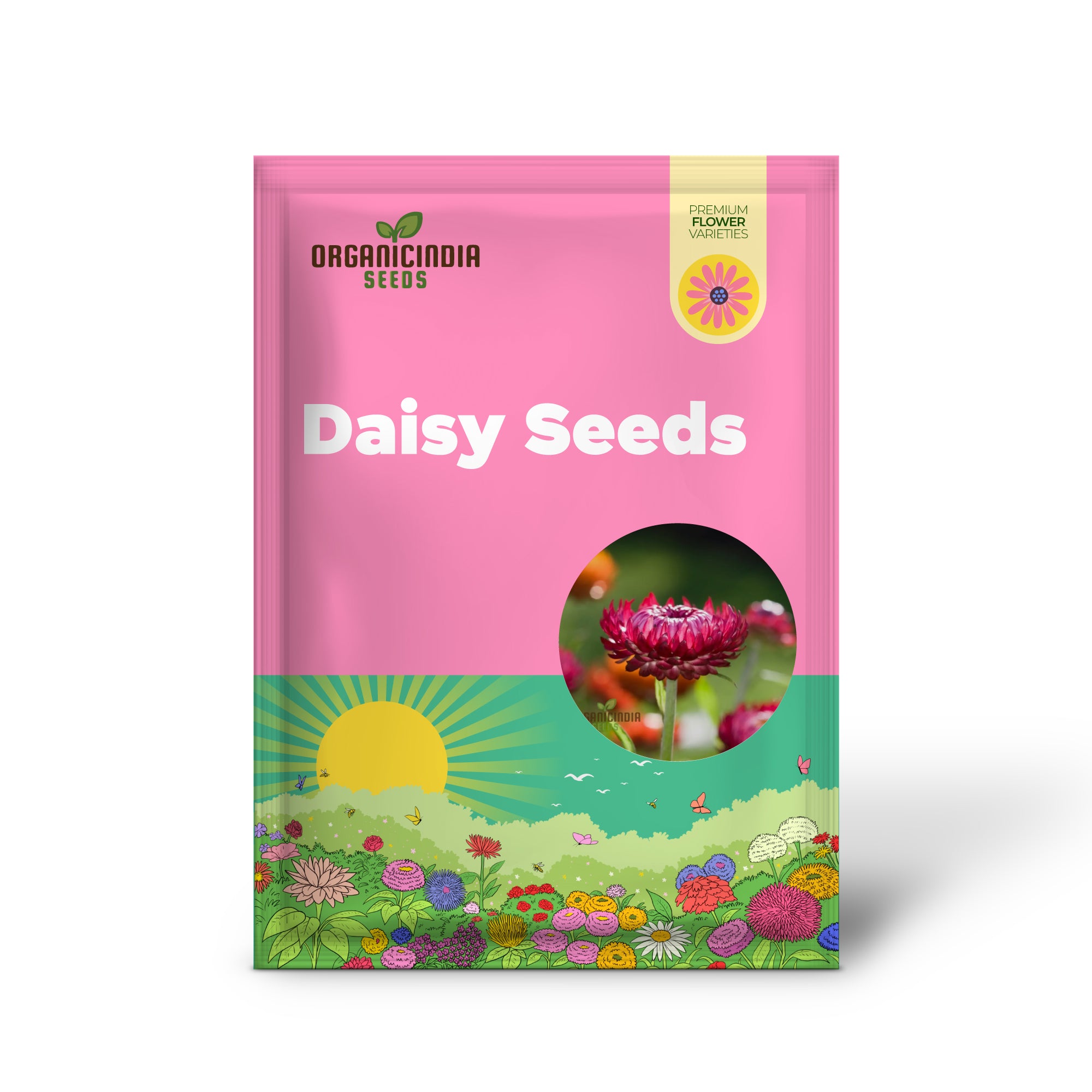 Margarita Perpetua - Semillas Morado Rojo para Jardinería y Plantación | Semillas de Flores de Alta Calidad