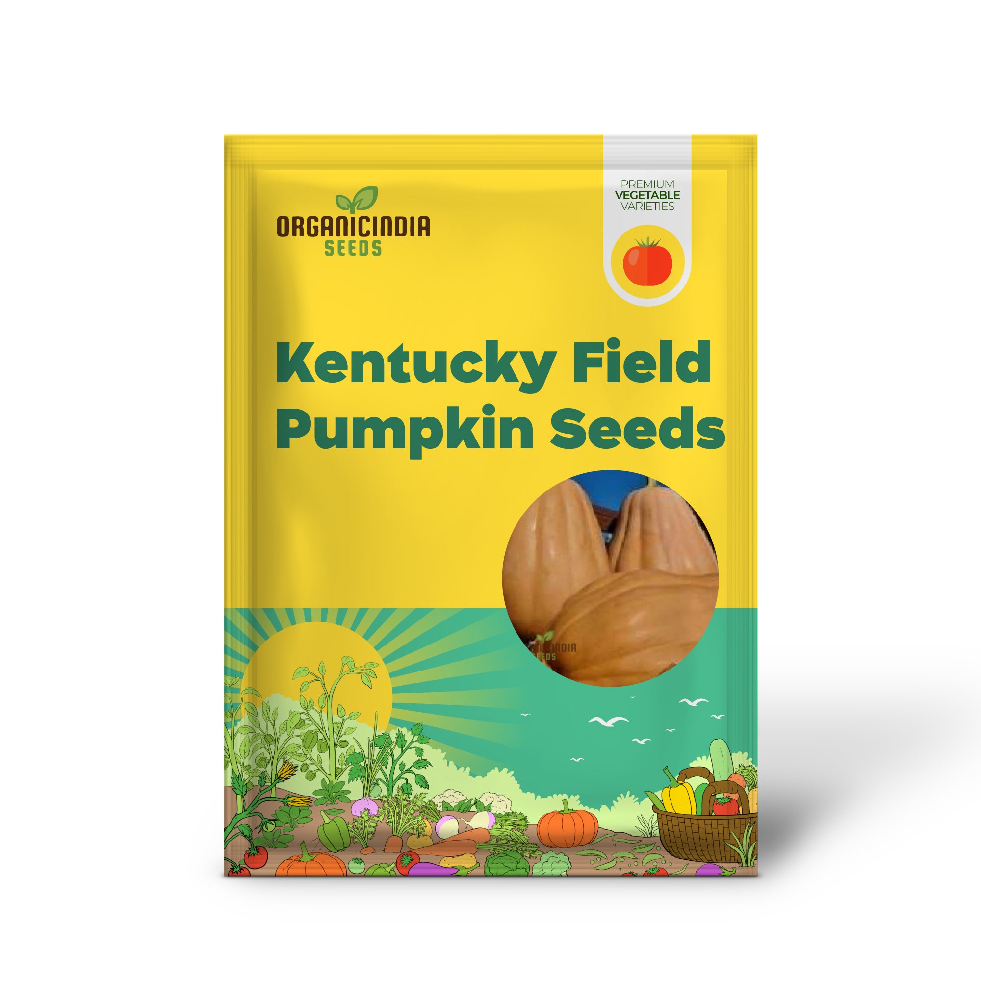 Semillas de Calabaza de Campo de Kentucky - Perfectas para Jardinería | Semillas de Calidad Premium