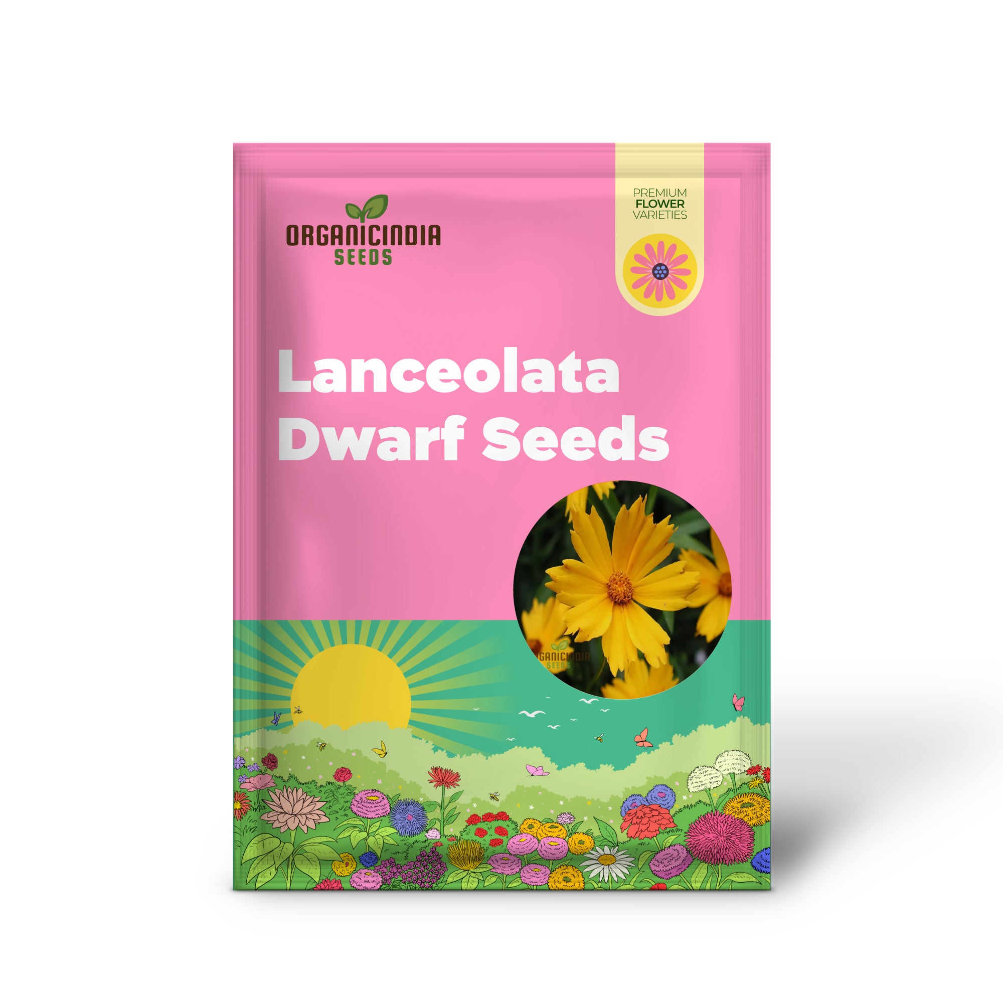 Semillas de Coreopsis Lanceolata Enanas para Plantar