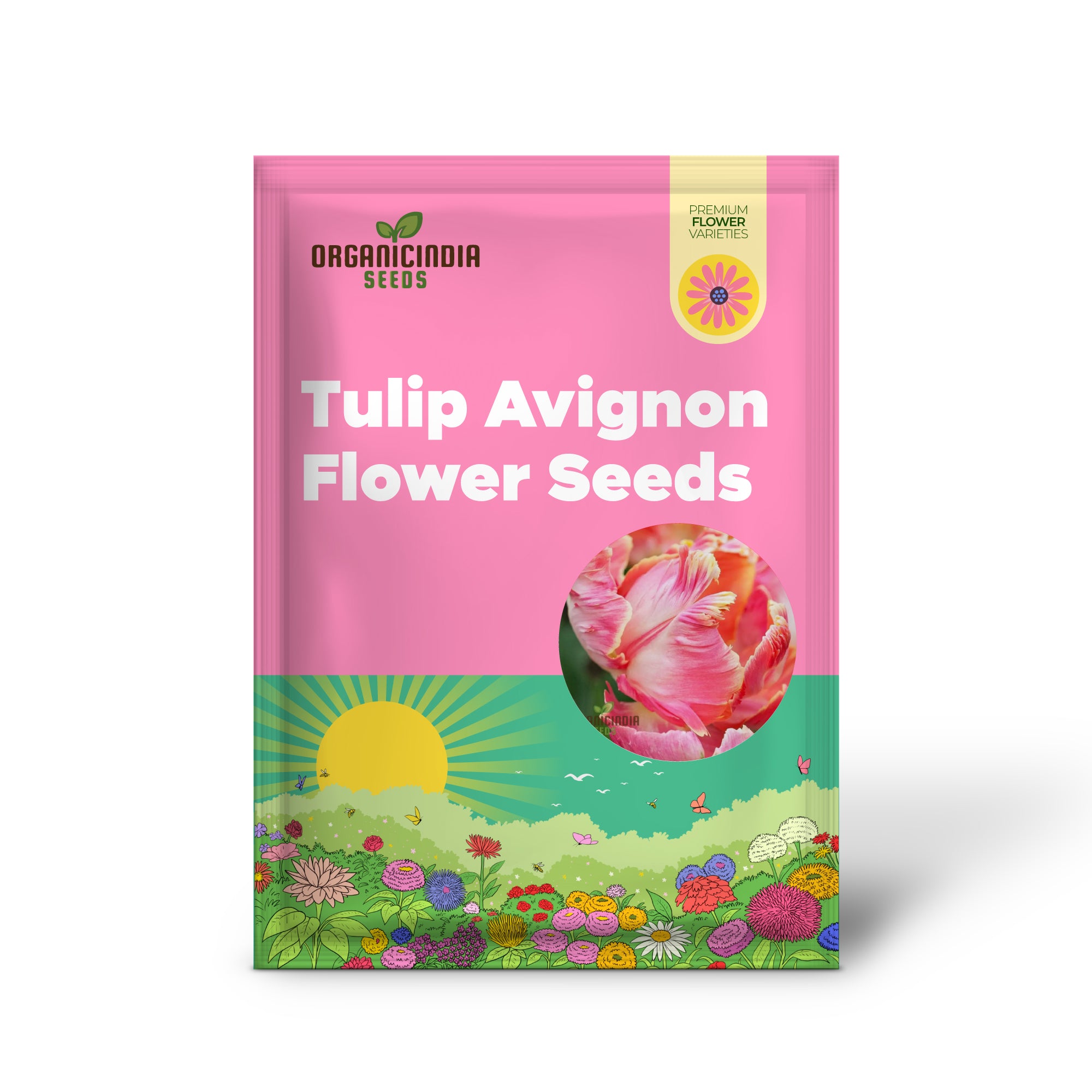 Semillas de flores de tulipán loro Avignon para plantar, tulipanes loro vibrantes y exóticos para una impresionante exhibición de jardín primaveral