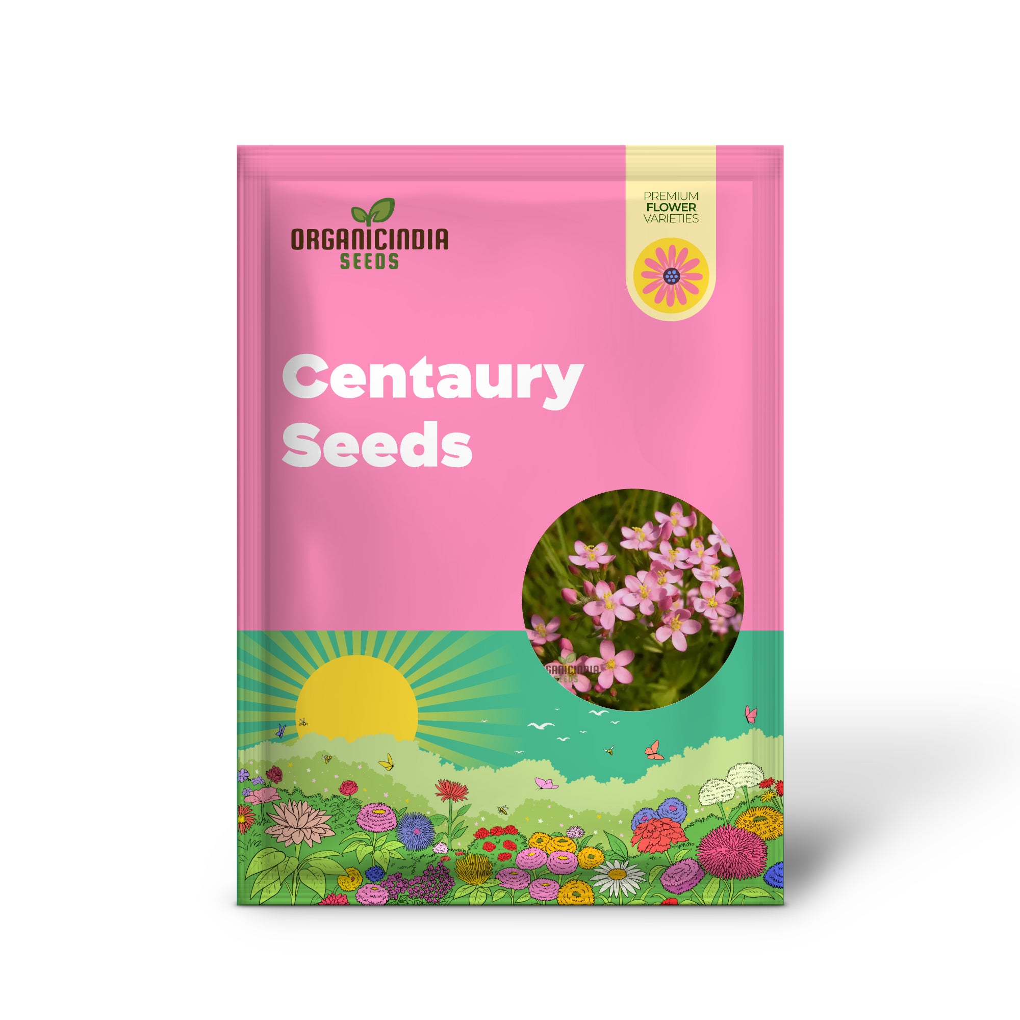 Semillas de Centaura para Tu Jardín | Semillas de Jardinería de Alta Calidad