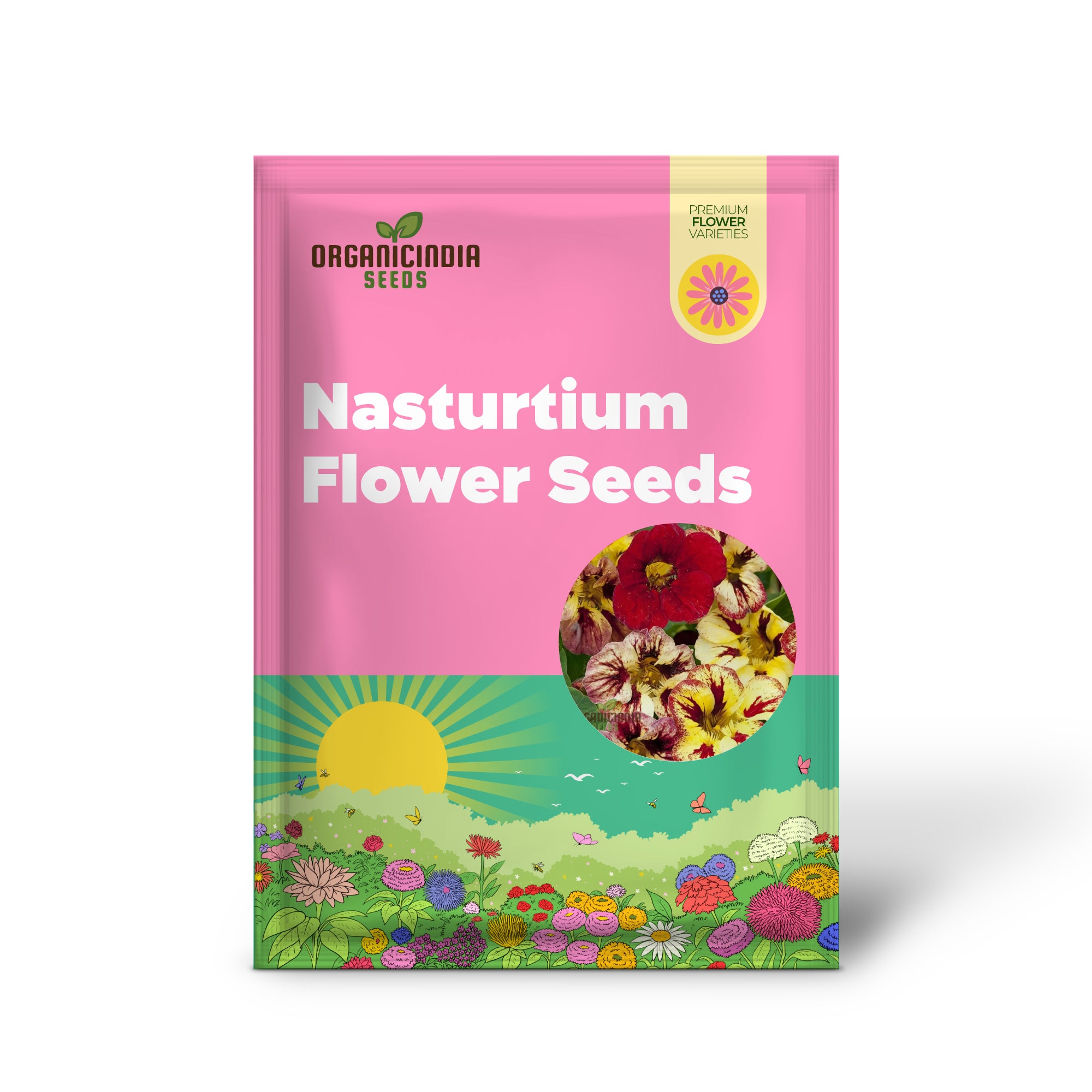 Graines de fleurs de capucine Bloody Mary à planter, faites pousser de superbes fleurs rouges vibrantes dans votre jardin, parfaites pour le jardin