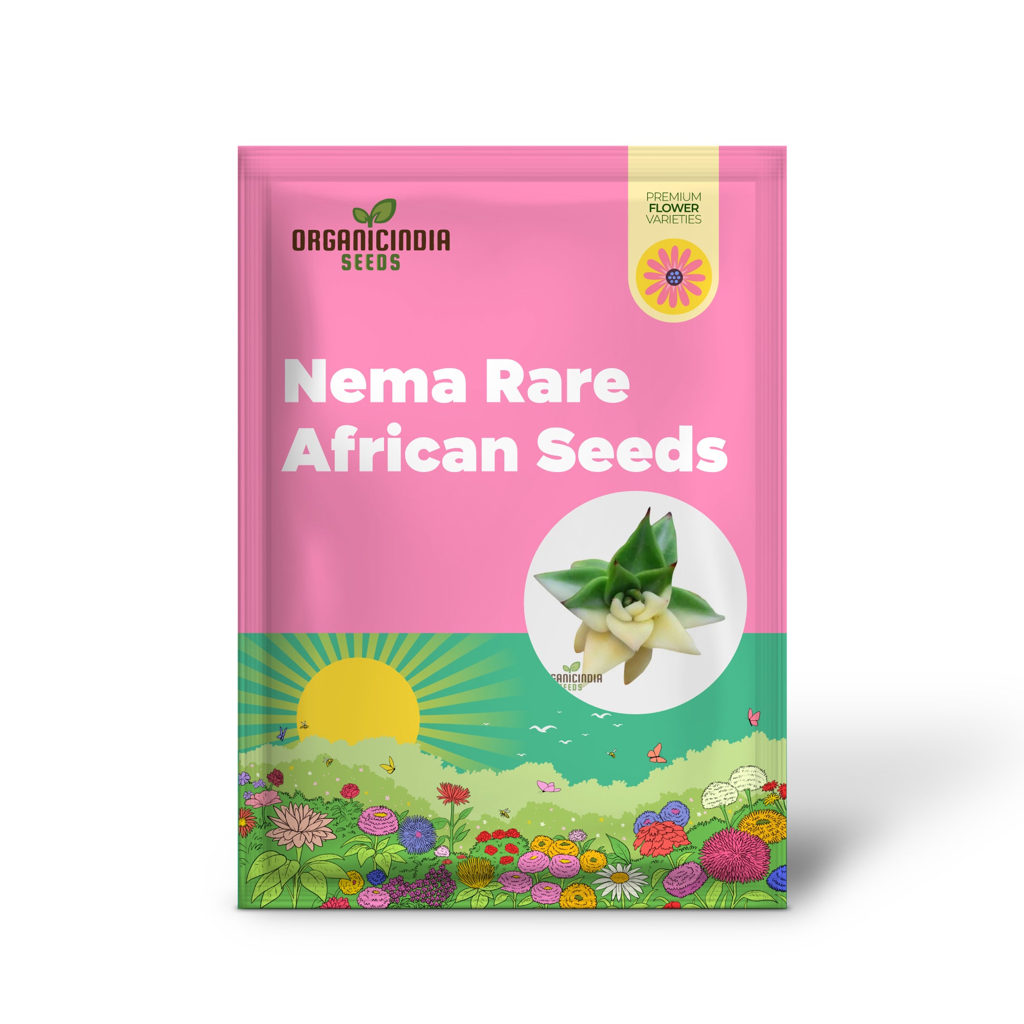 Graines de cactus succulentes africaines rares Nema - Vert et blanc - 100 pièces | Graines de jardinage de qualité supérieure pour plantes succulentes uniques