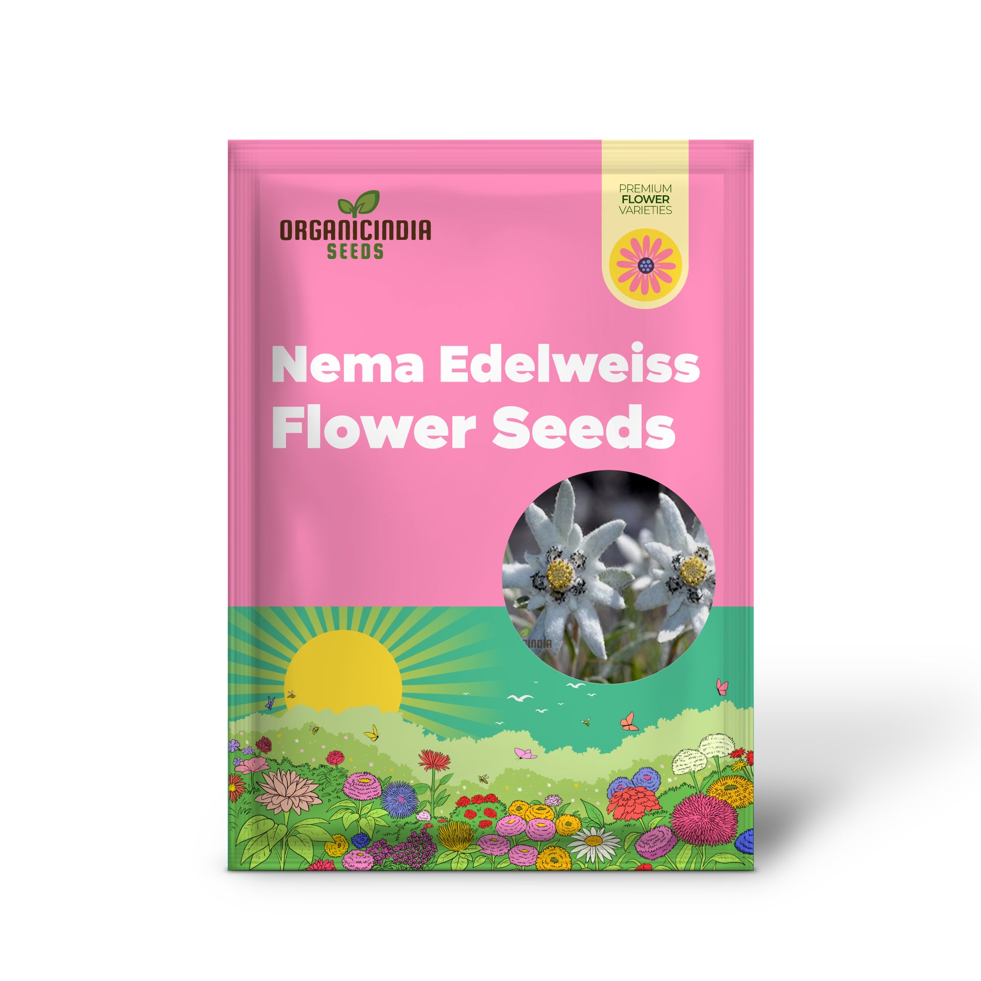 Semi di fiore Nema Edelweiss (Leontopodium alpinum) per appassionati di giardinaggio – Perfetti per il tuo giardino alpino