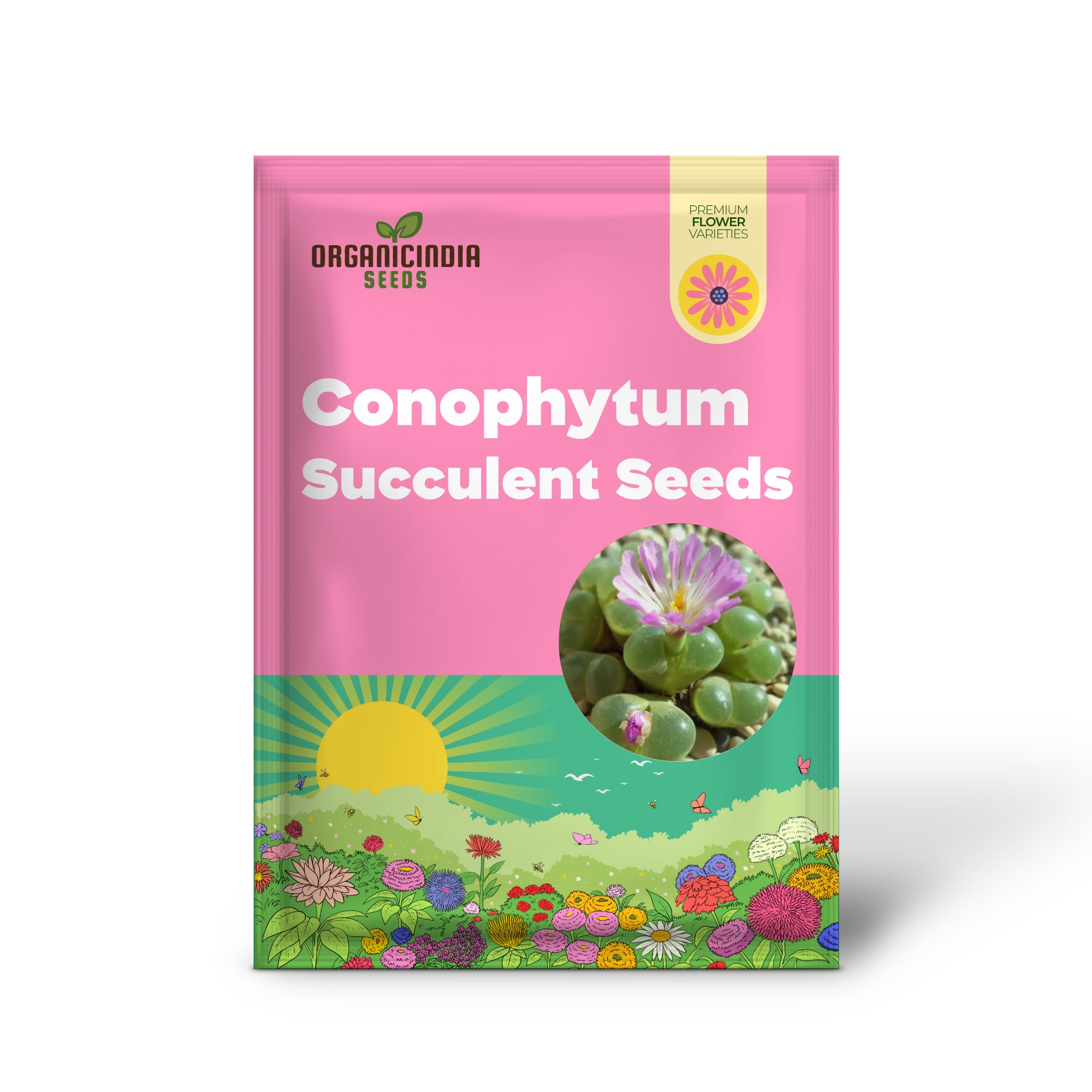 Eye Leaves Conophytum Succulent Seeds for Planting, Perfect for Home Gardens and Indoor Planting Collections, High-Quality Seeds