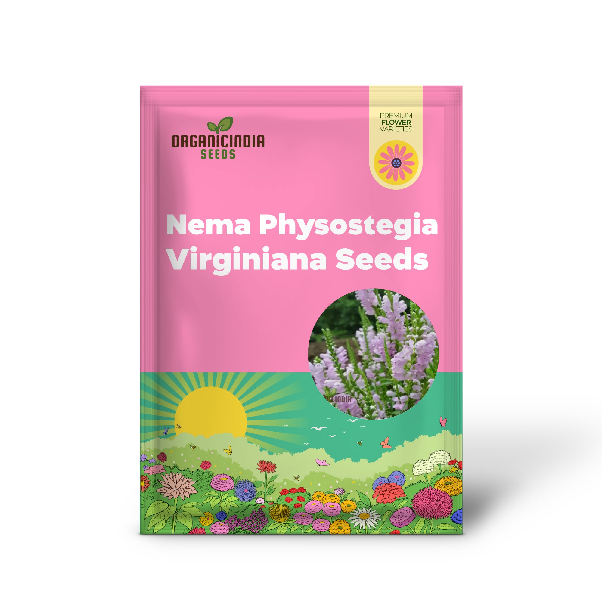 Semillas de Physostegia Virginiana Nema, hermosas semillas de flores de planta obediente morada para jardinería