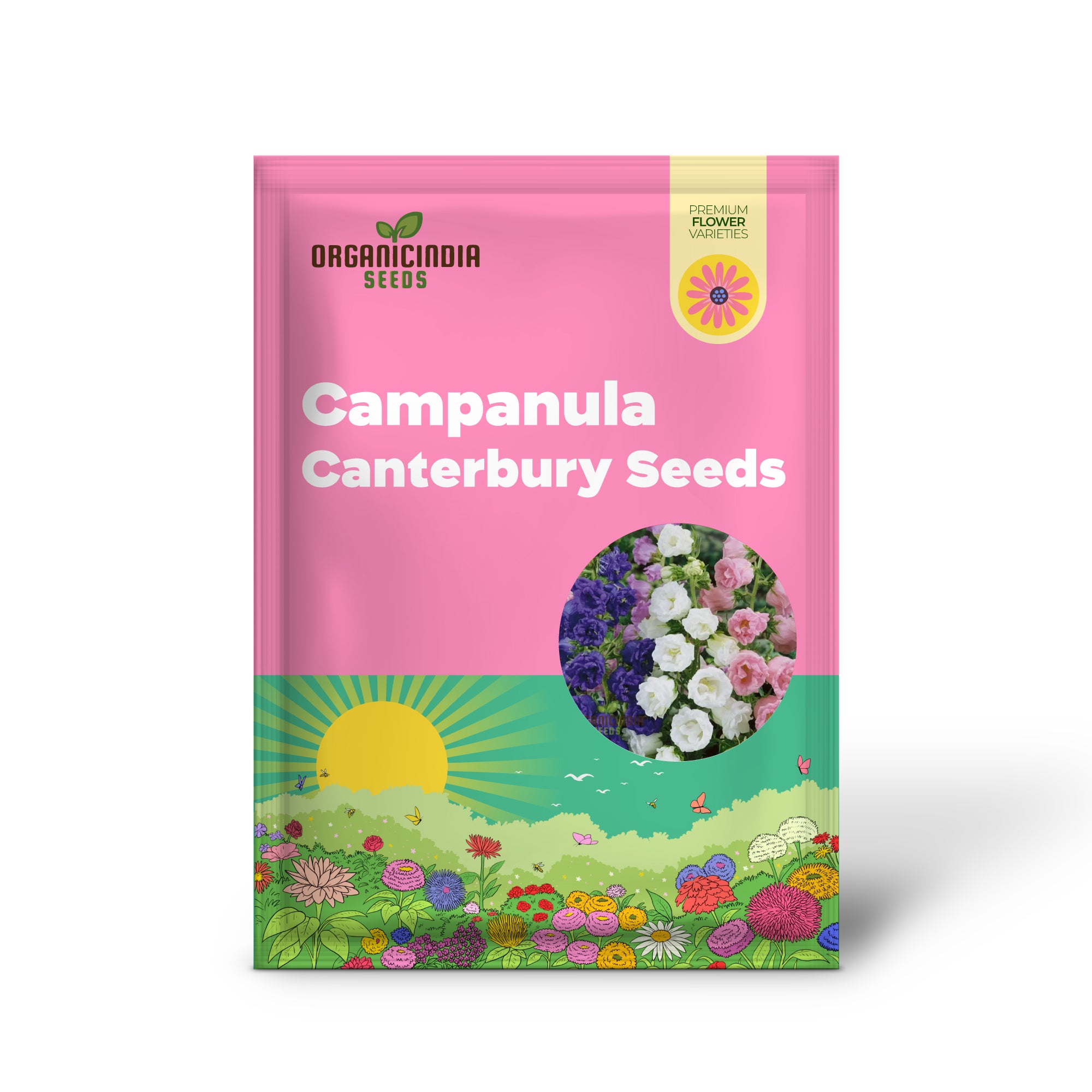 Semillas de Mezcla de Campanula Canterbury Bells con Taza y Platillo - Flor Perenne, Guía de Plantación Incluida, Flores Coloridas