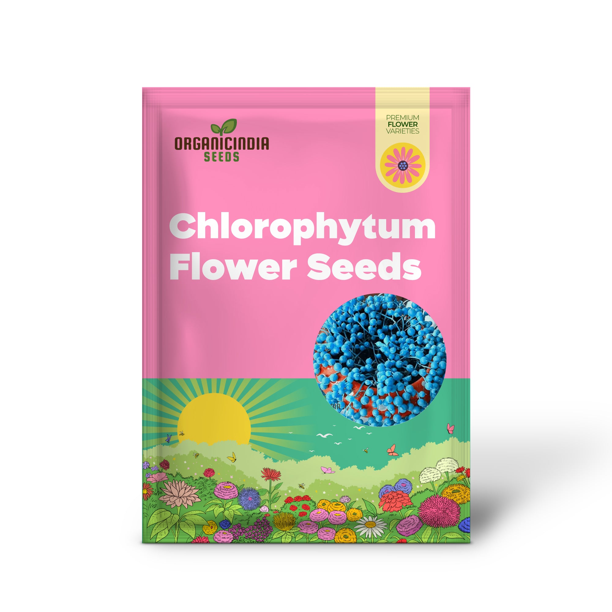 Nema Rare Blue Round Pearl Chlorophytum Flower Seeds for Planting,Unique Gardening Seeds for Beautiful Blue Bloom