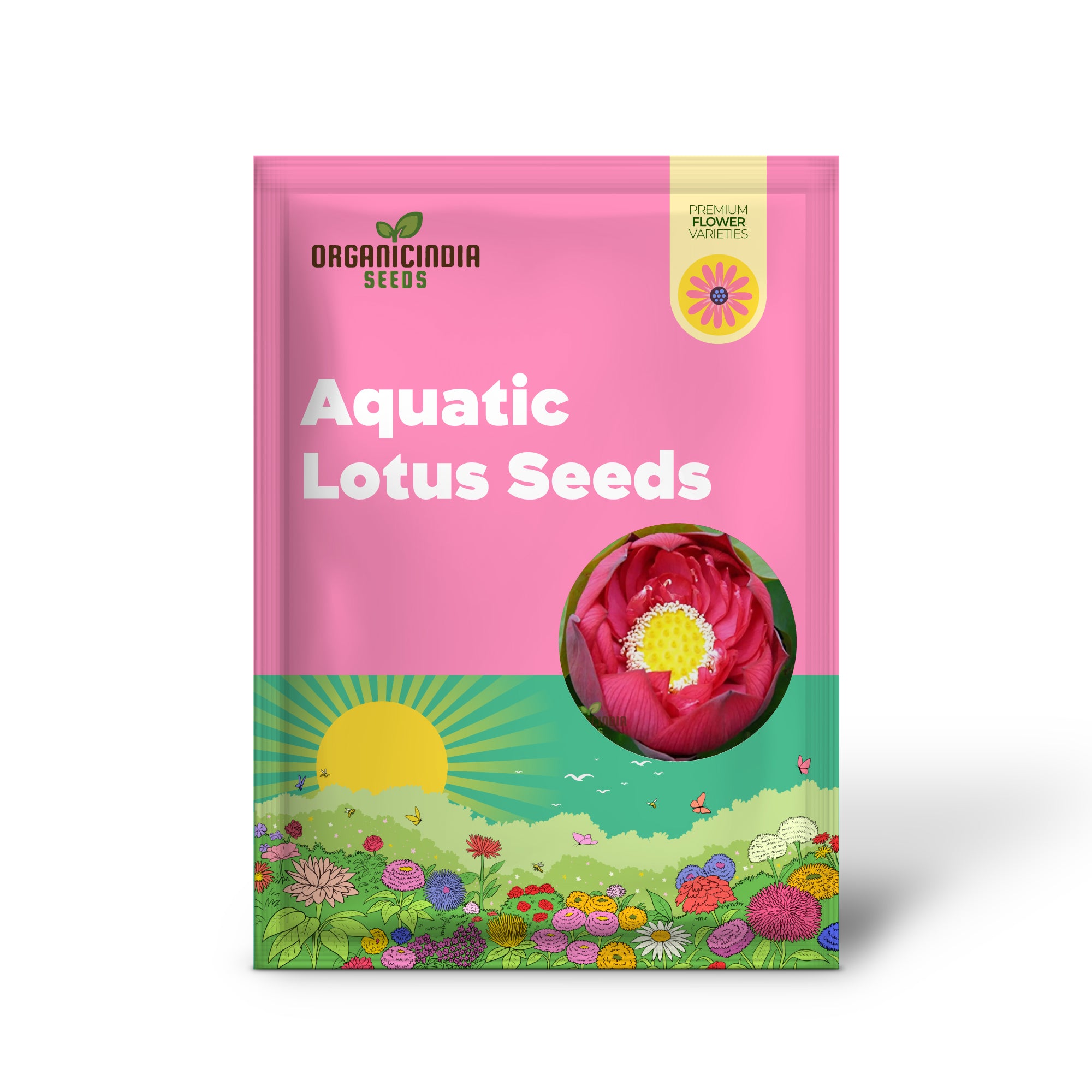 Semillas de loto acuático (Nelumbo nucifera Crimson), guía completa para plantar y cultivar vibrantes flores de loto