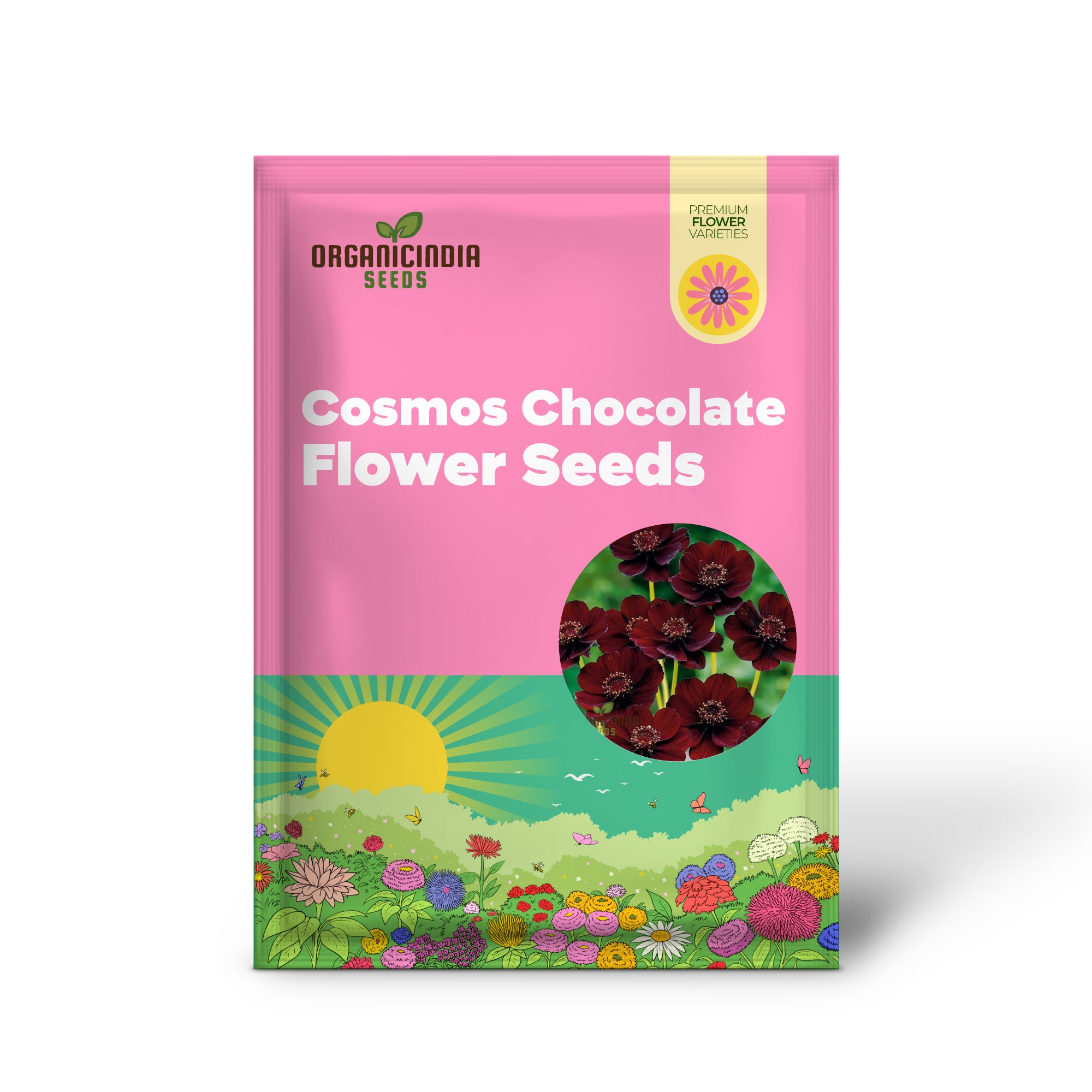 Cosmos Chocolate Flower Seeds Planting Guide Included for Vibrant Blooms