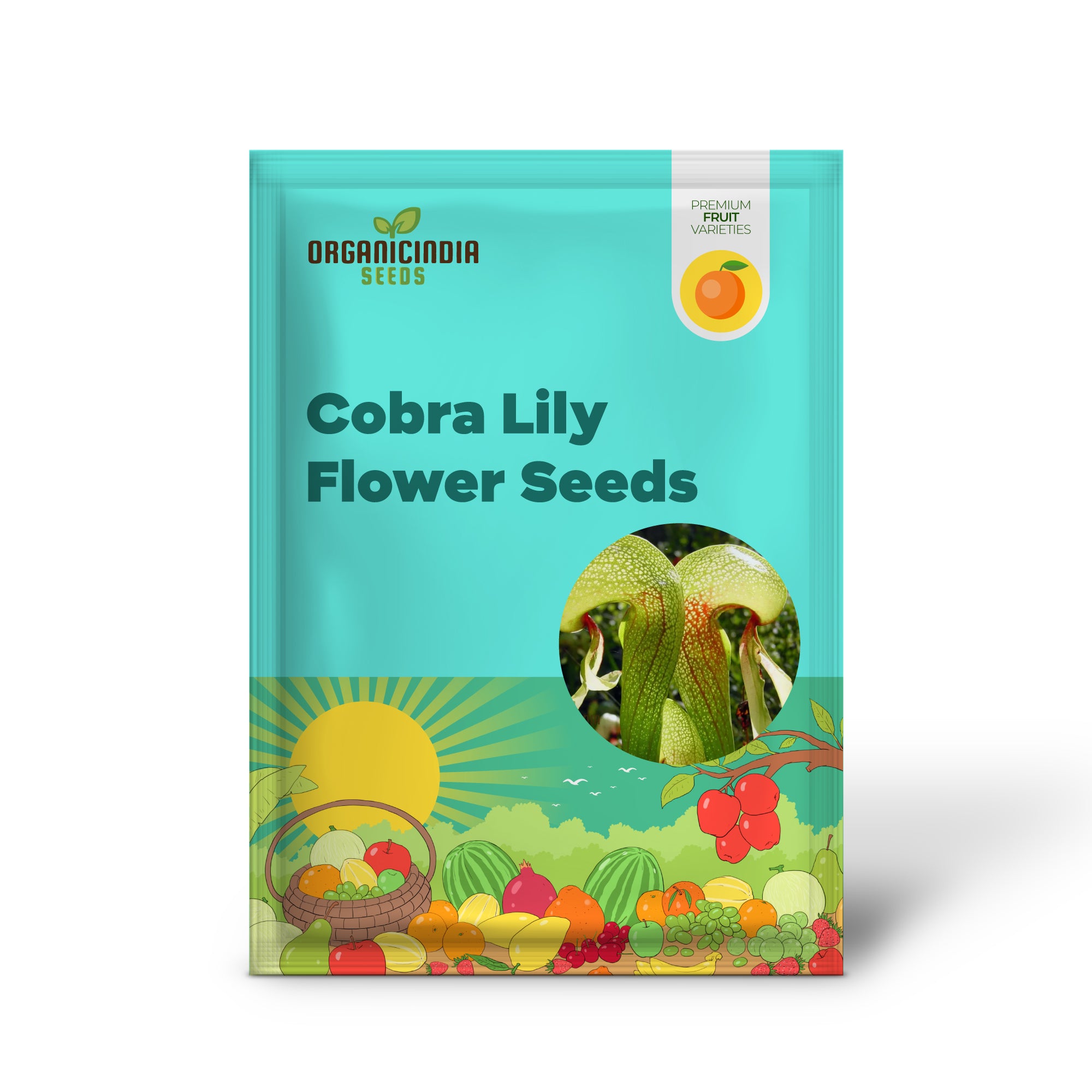 Semillas de Flor Cobra Lily Californica Comedora de Carne Bonsái, Guía Experta de Plantación y Cultivo