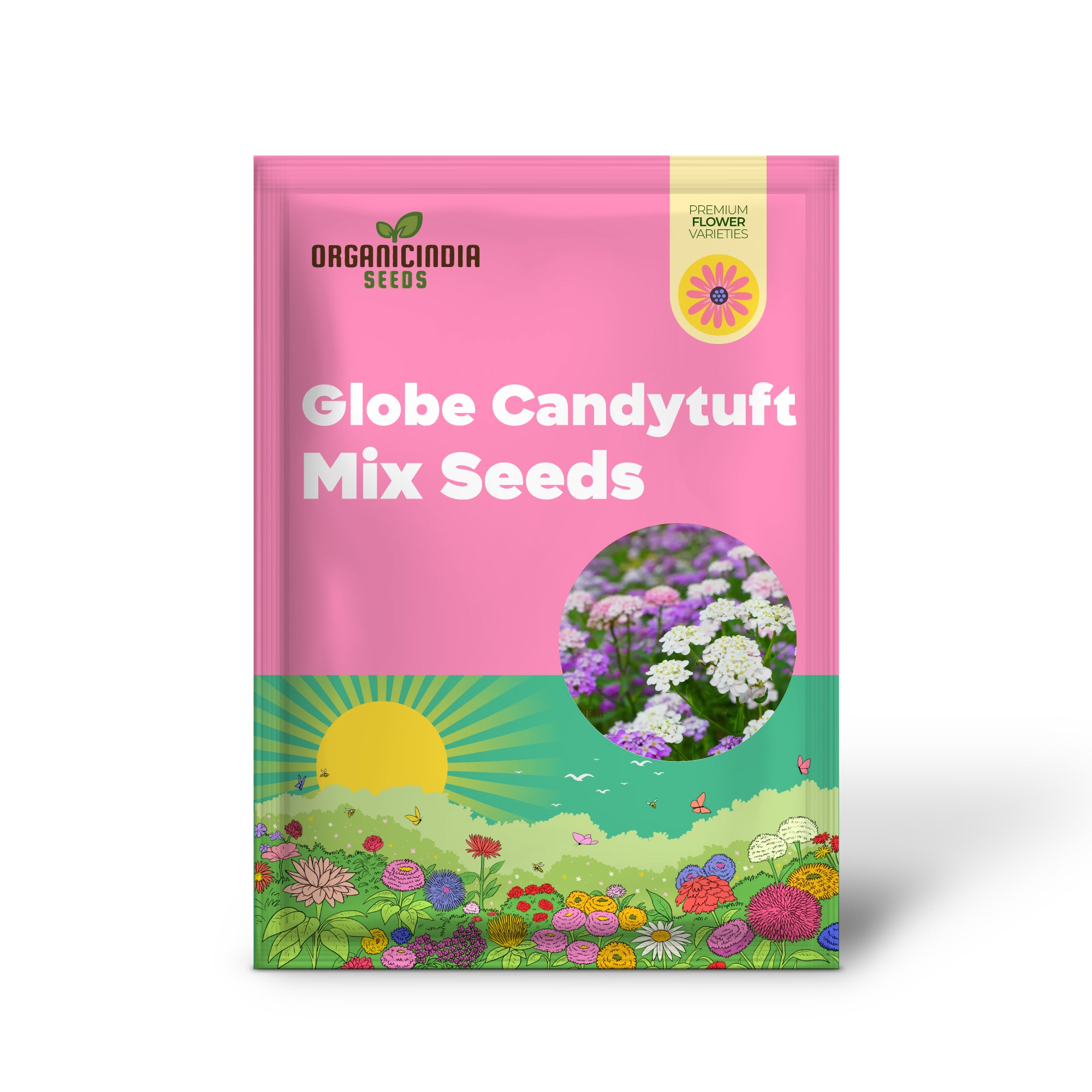 Semillas de Mezcla de Candytuft Globe - Flores Coloridas para Tu Jardín para Plantar