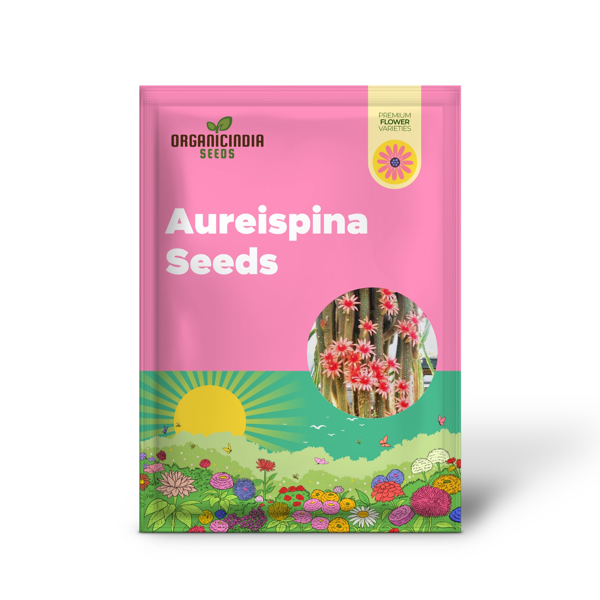 Planting HildeWintera Aureispina Seeds - 100 pcs