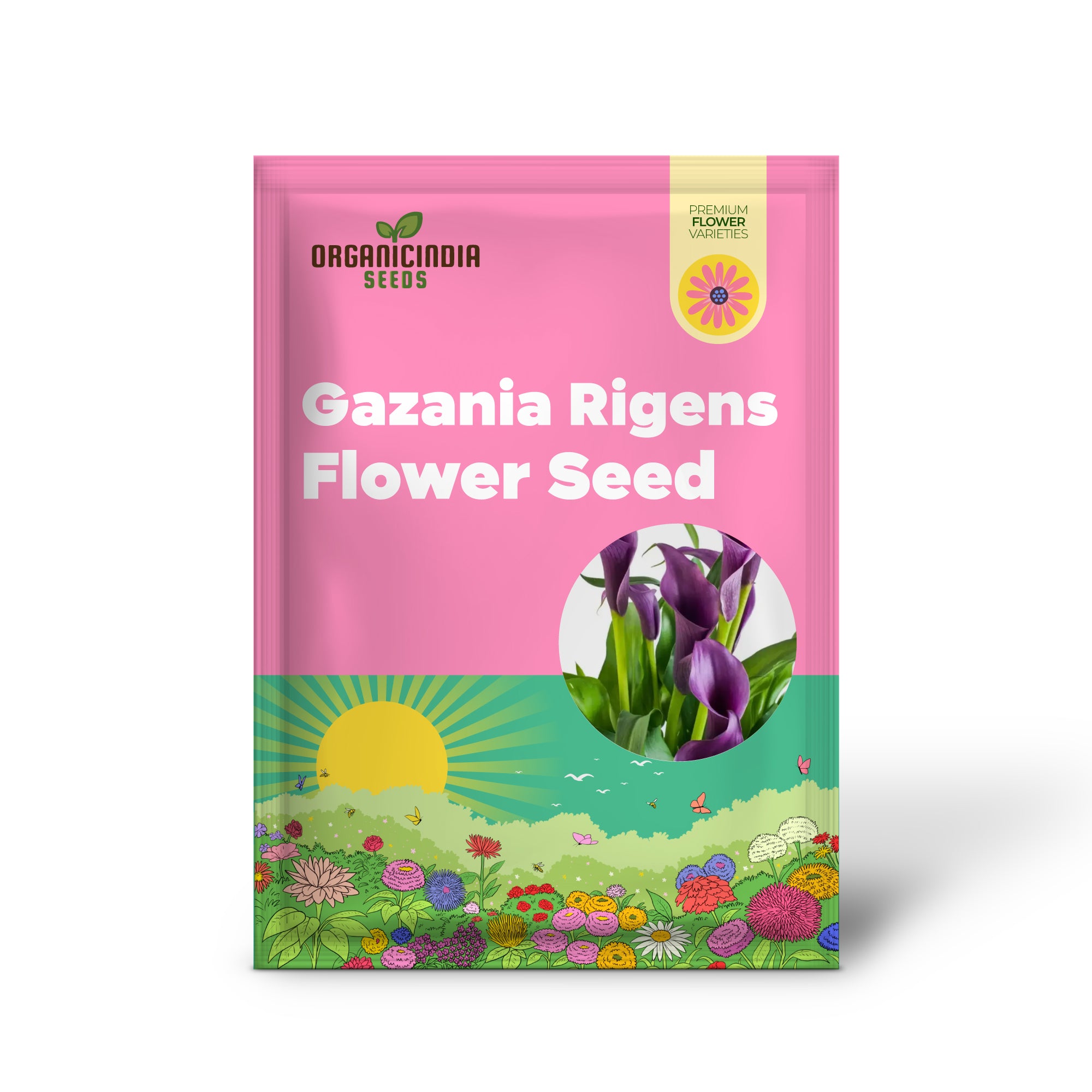 Graines de fleurs de Gazania Rigens - Tournesol africain - 100 pcs