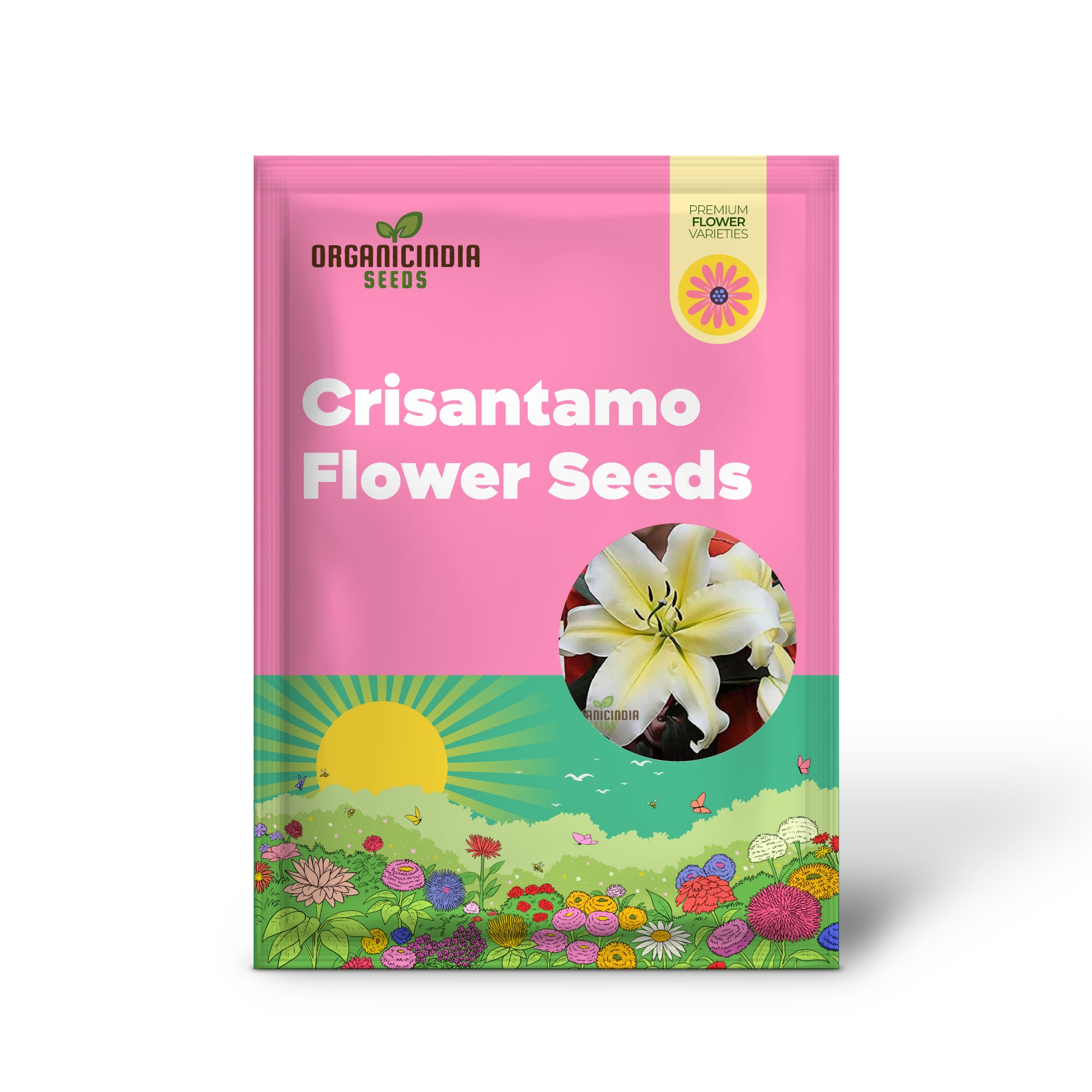 Earth-Cent クリサンタモ 花の種 植え付け用 - 100個