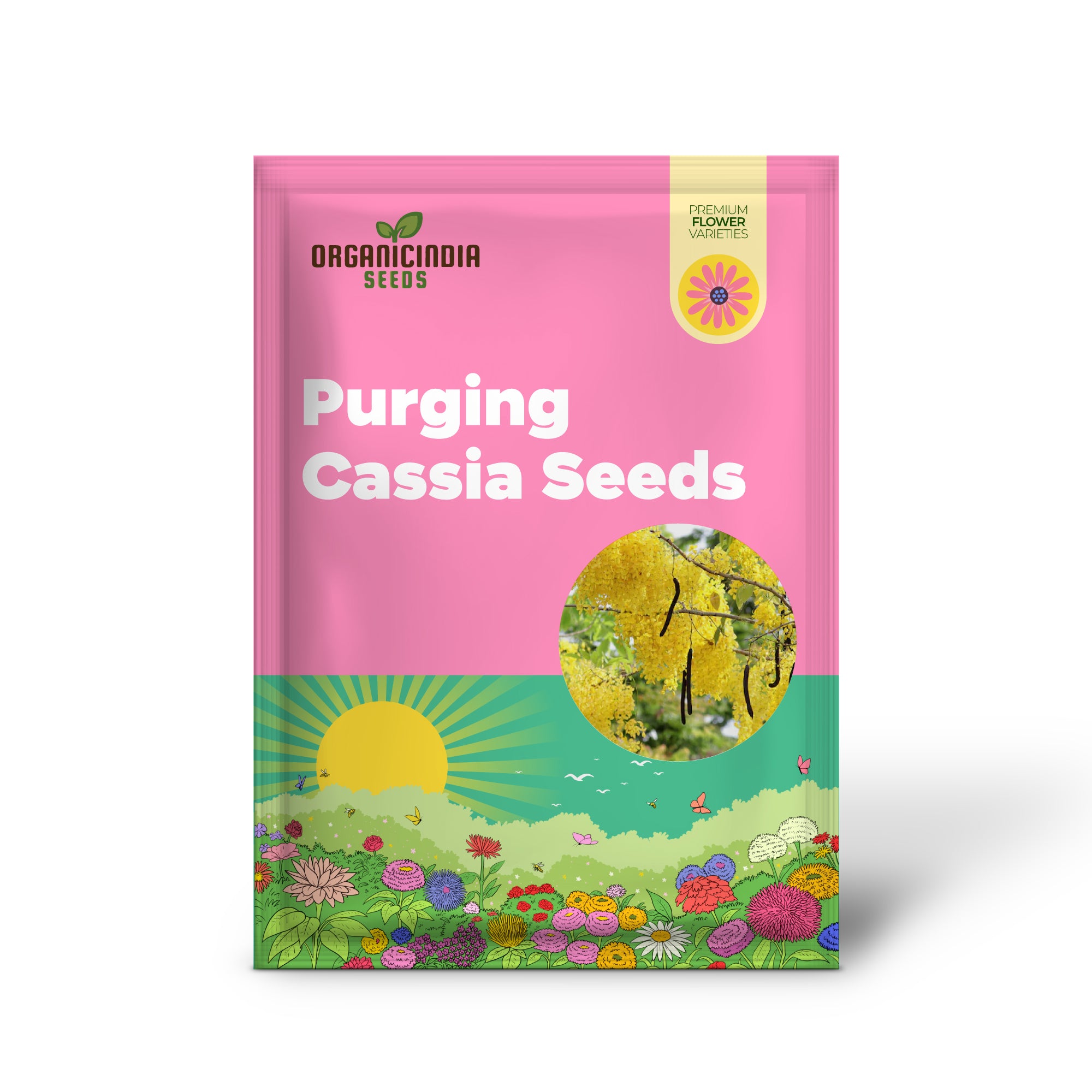 Golden Rain Tree or Purging Cassia Seeds for Planting