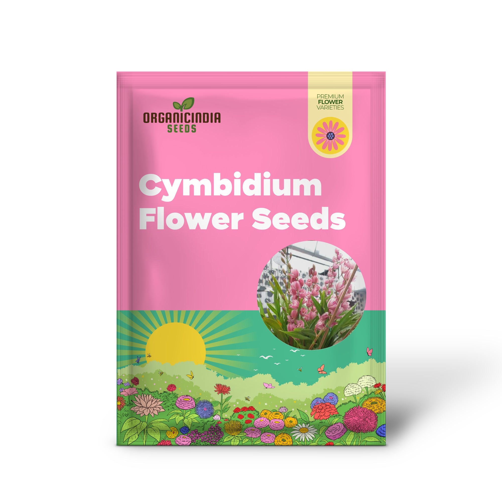 Belles graines de fleurs de cymbidium rouge, plantation, 100 pièces