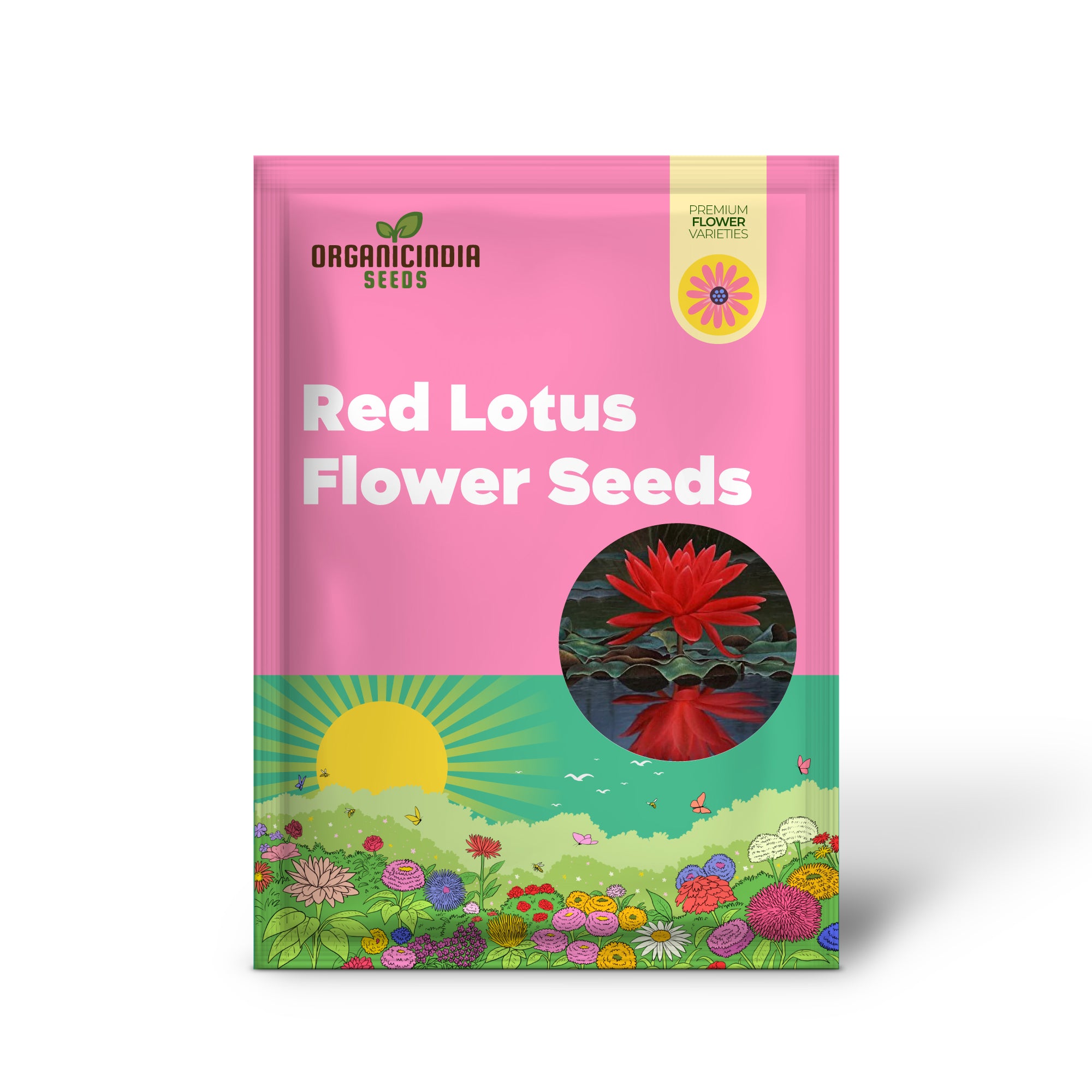 Semillas de Flor de Loto Roja para Plantar