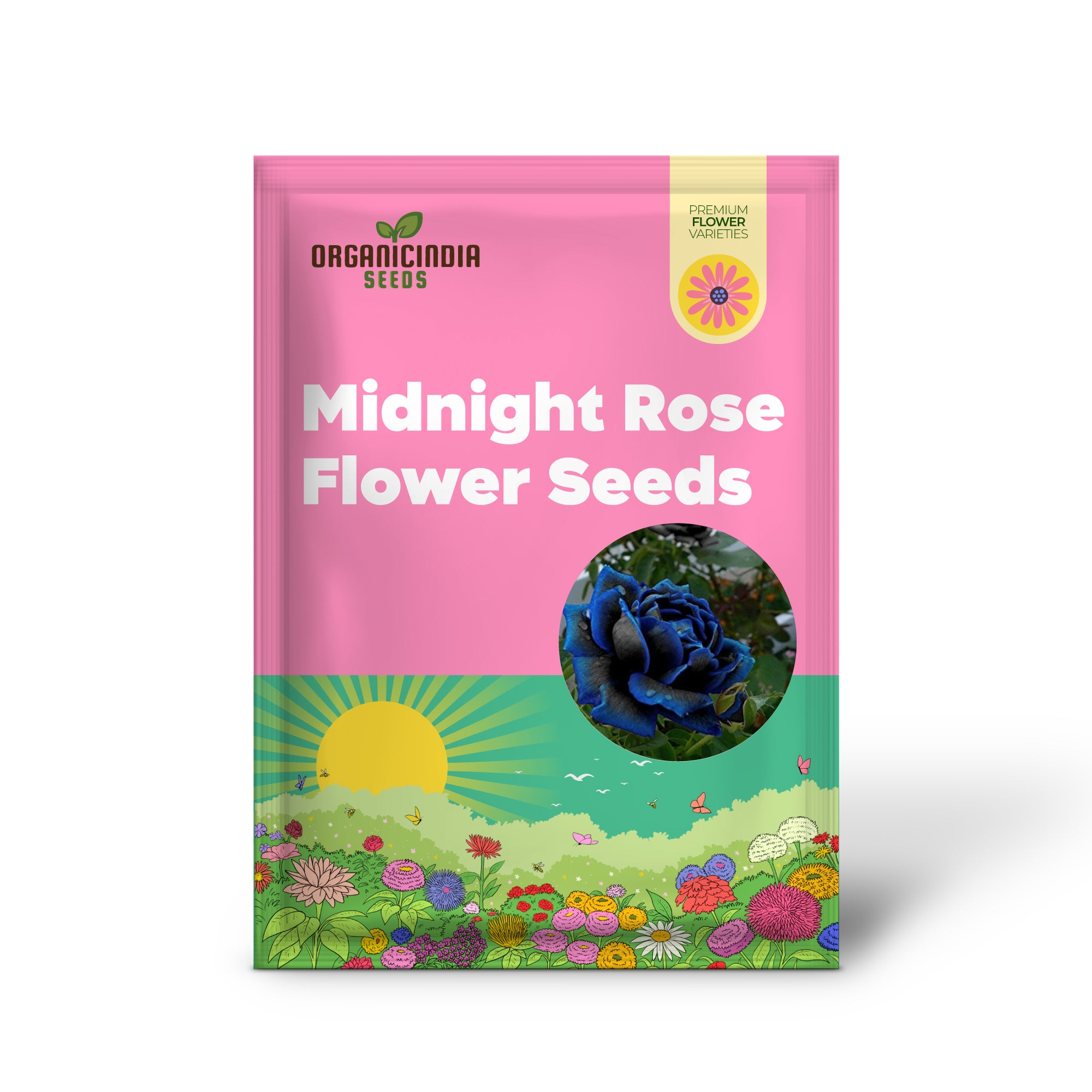 Semillas de flor de rosa Midnight Supreme para plantar