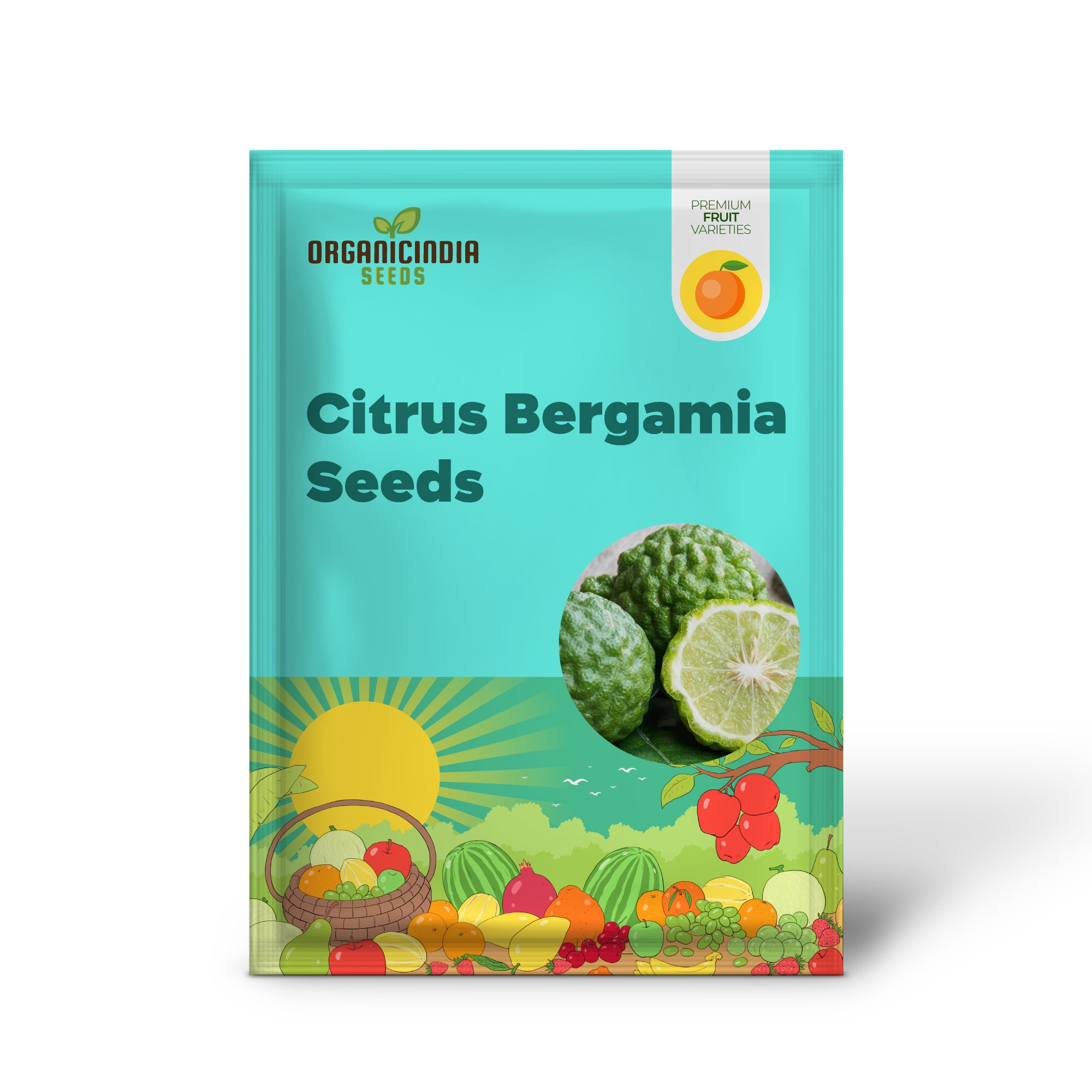 Semi di Arancia Bergamotto - Citrus Bergamia, Bonsai Perennemente Sempreverde Commestibile e Ornamentale, Semi di Albero da Frutto per Patio Esterno