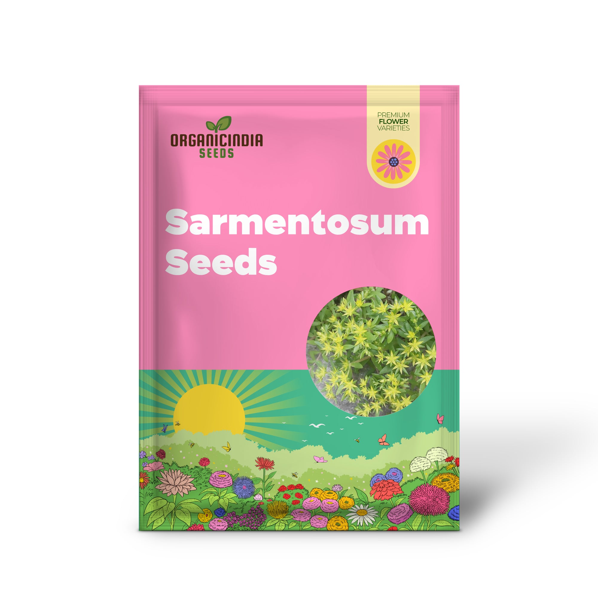 Semillas de Suculenta Sedum Sarmentosum para Plantar - Crecimiento Rápido, Fácil de Cuidar, Tolerante a la Sequía, Bajo Mantenimiento (20 Piezas)