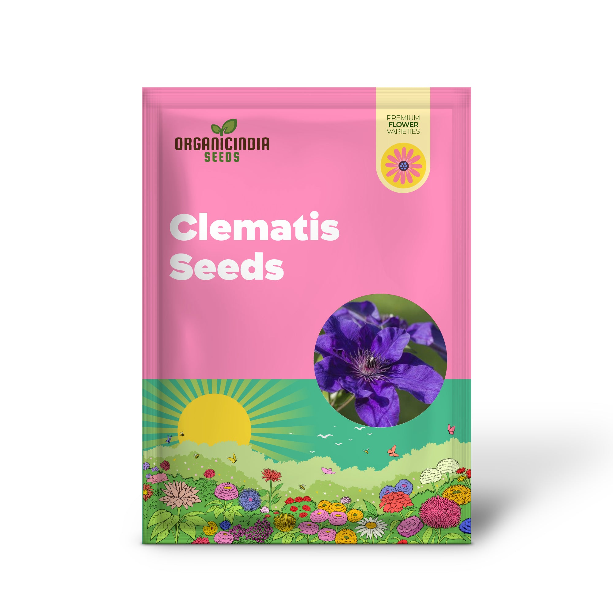 50 graines de clématite violet foncé | Fleurs vivaces grimpantes en fleurs | Vigne à fleurs | Plante grimpante vivace
