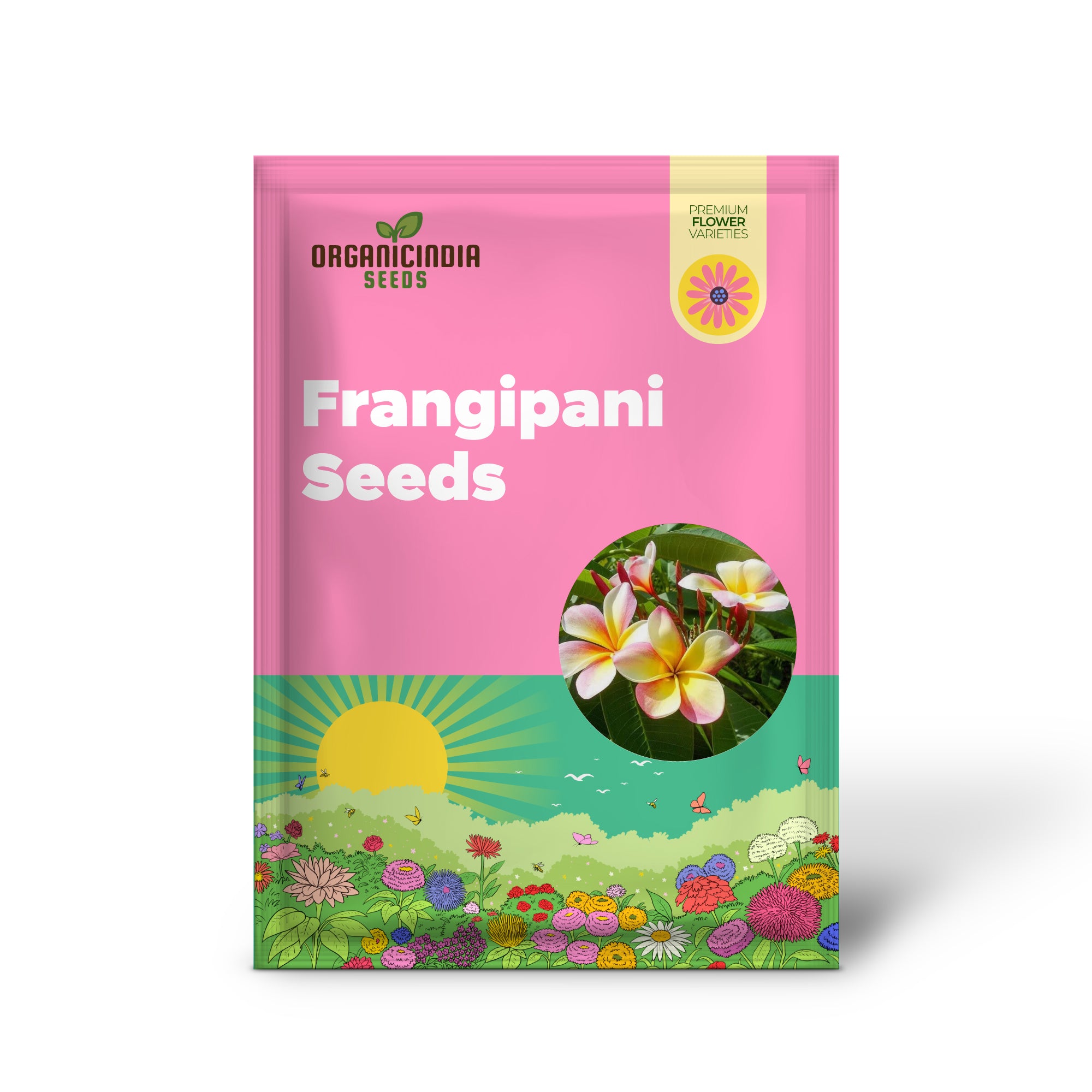 Semillas de Plumeria Rubra Frangipani de Colores Mixtos - 25 Piezas