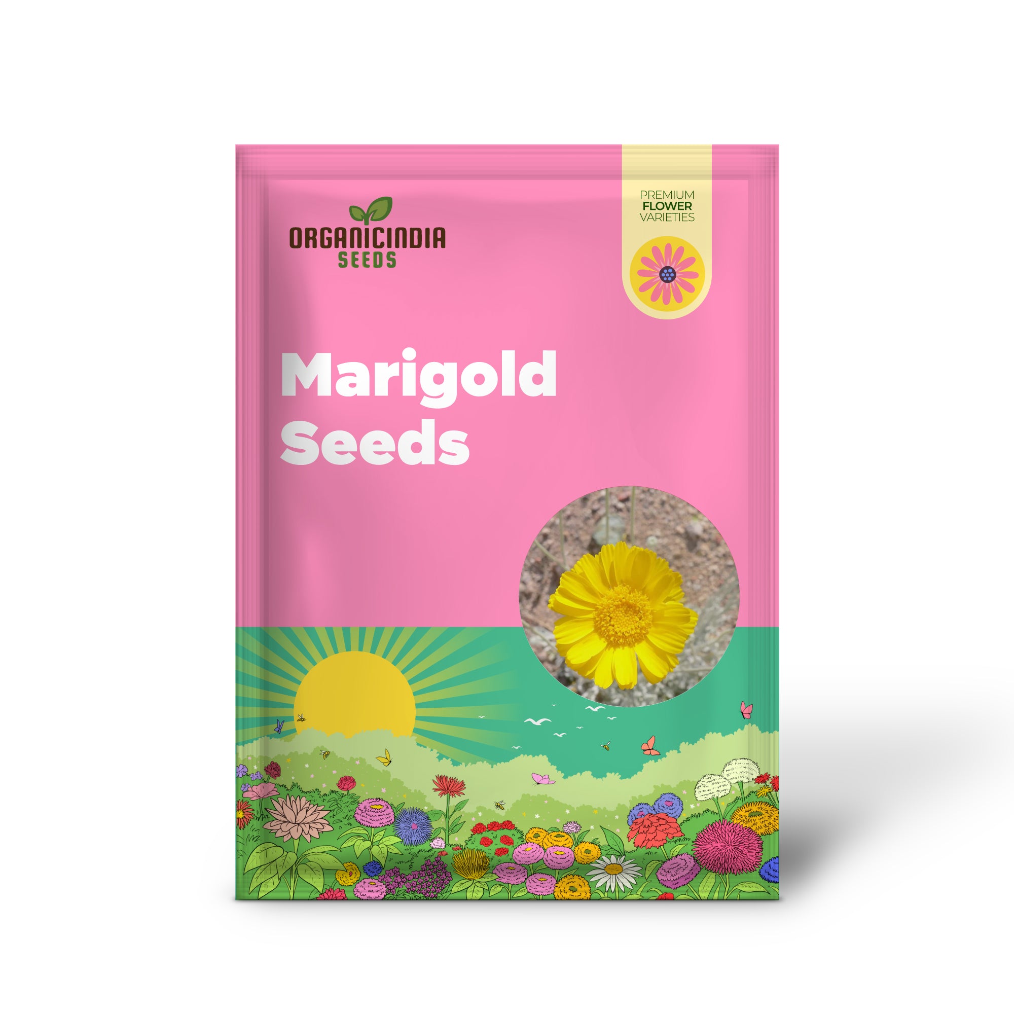 Semillas de Caléndula del Desierto Baileya Multiradiata Perenne, Atractor de Mariposas, Resistente a Ciervos, Tolerante a la Sequía, Ideal para Jardines de Rocas y Contenedores