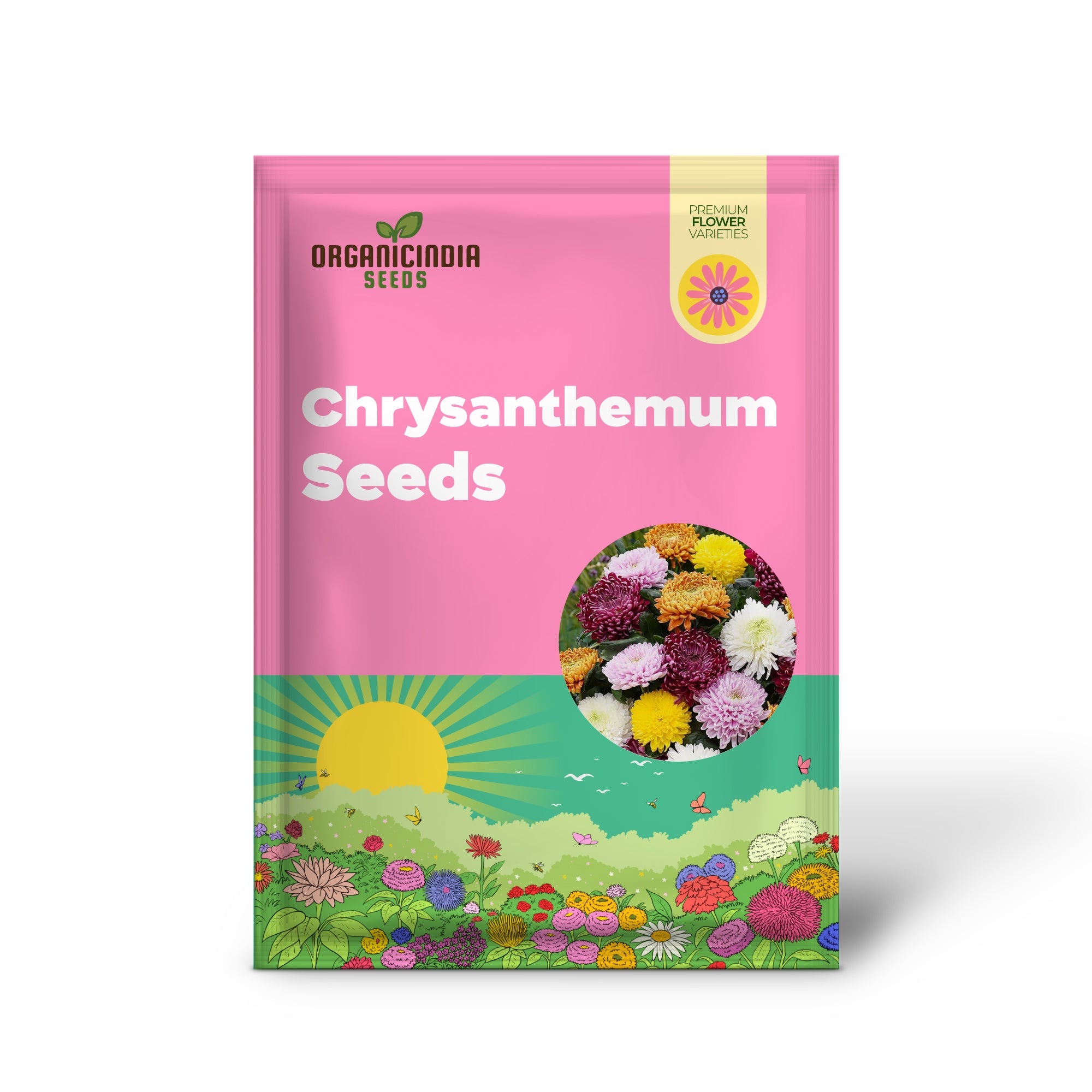 Chrysanthemum Seeds Colorful Diverse Flowers Popular Ornamental Plants for Vibrant Blooms in Gardens, Landscapes Floral Arrangements Flower Seeds