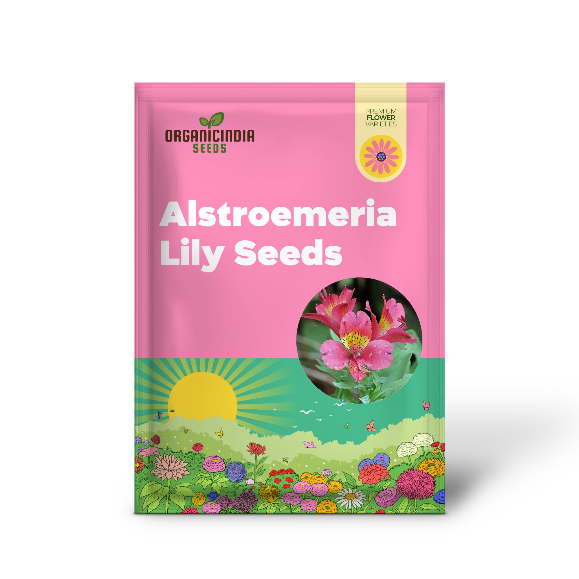 Alstroemeria Peruvian Lily Seeds - Mixed Colors, Perennial Pollinator-Friendly, Deer Resistant Cut Flowers for Borders & Potted Gardens