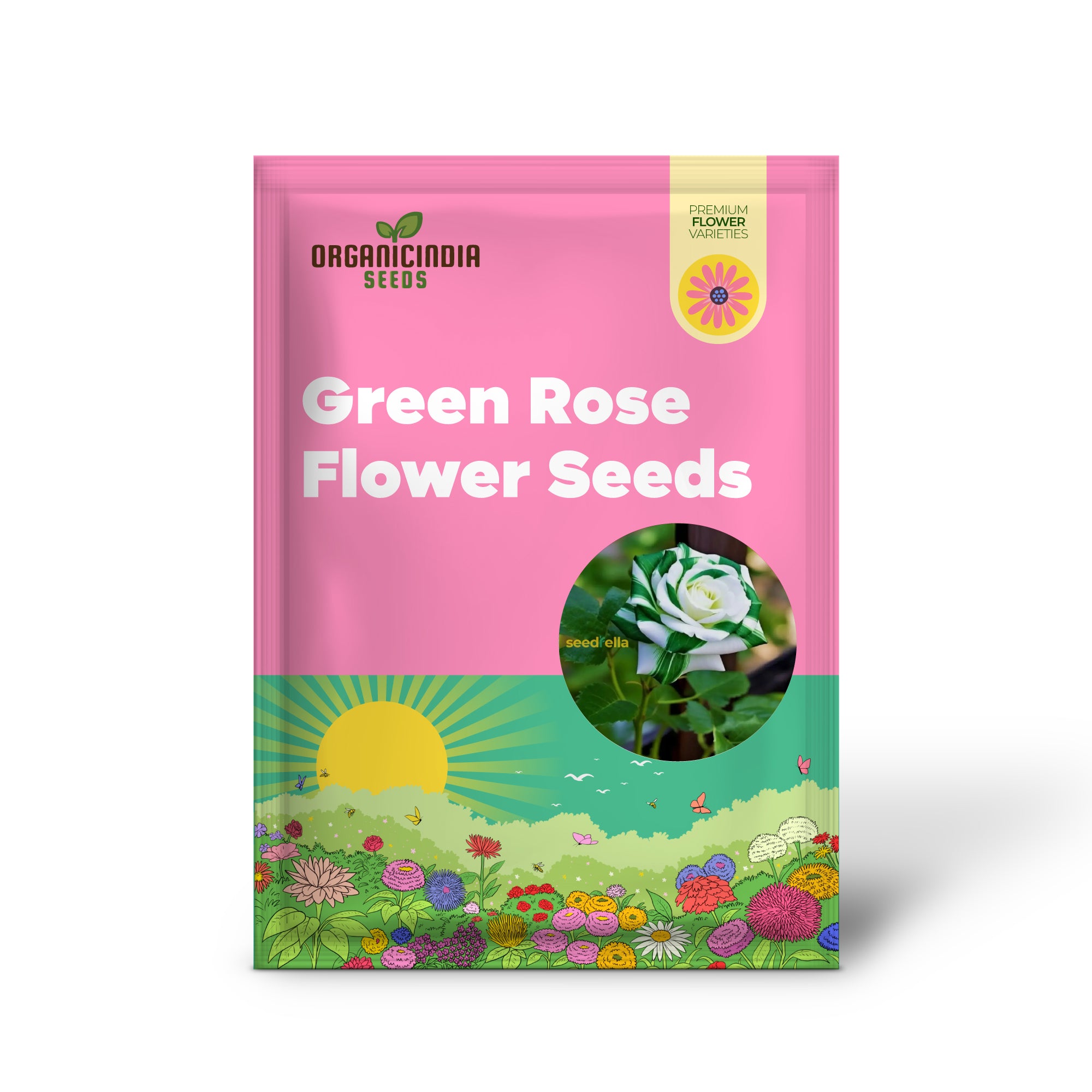 Graines de fleur Rose verte avec bord rouge - Vivace unique et facile à cultiver pour votre jardin