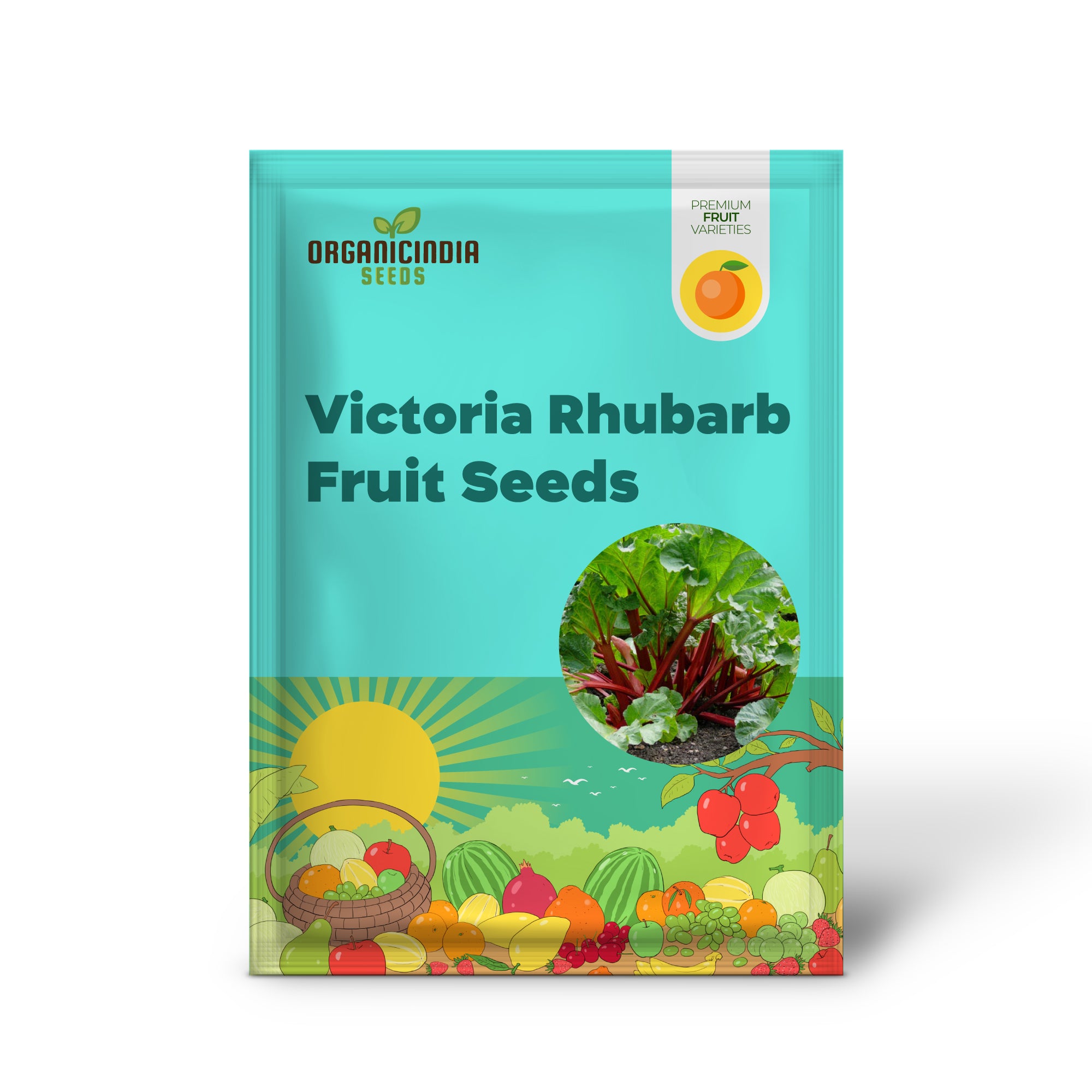 Semillas de fruta de ruibarbo Victoria